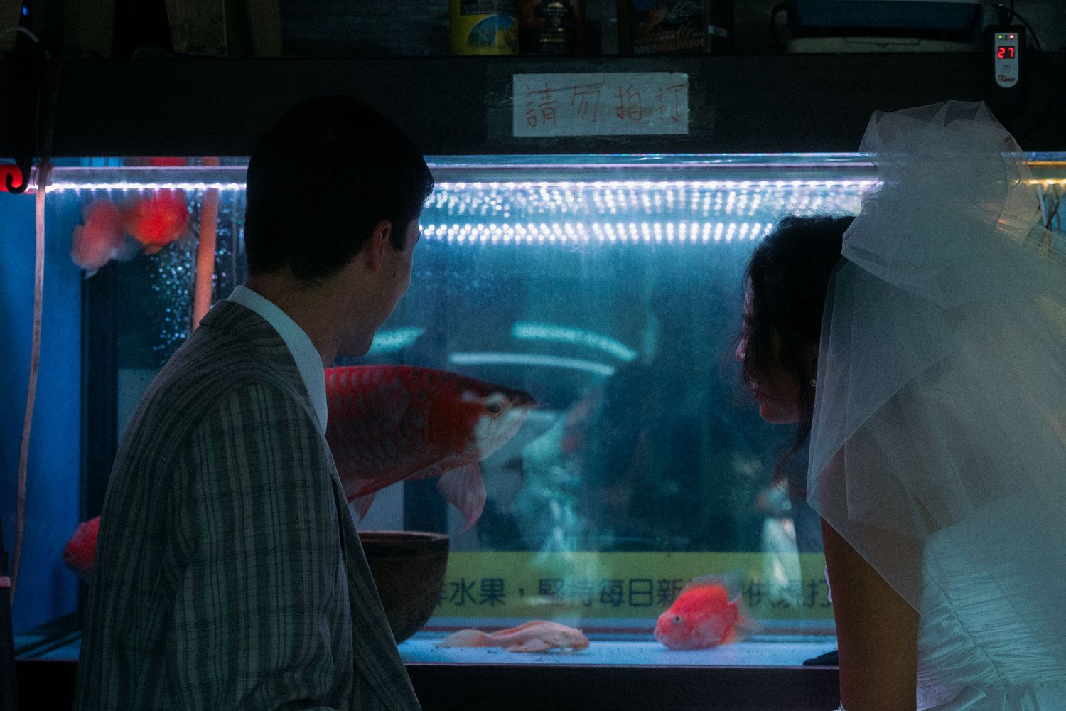 Emily and Rik photographed beneath blue market lights during their Dihua Street pre-wedding gallery