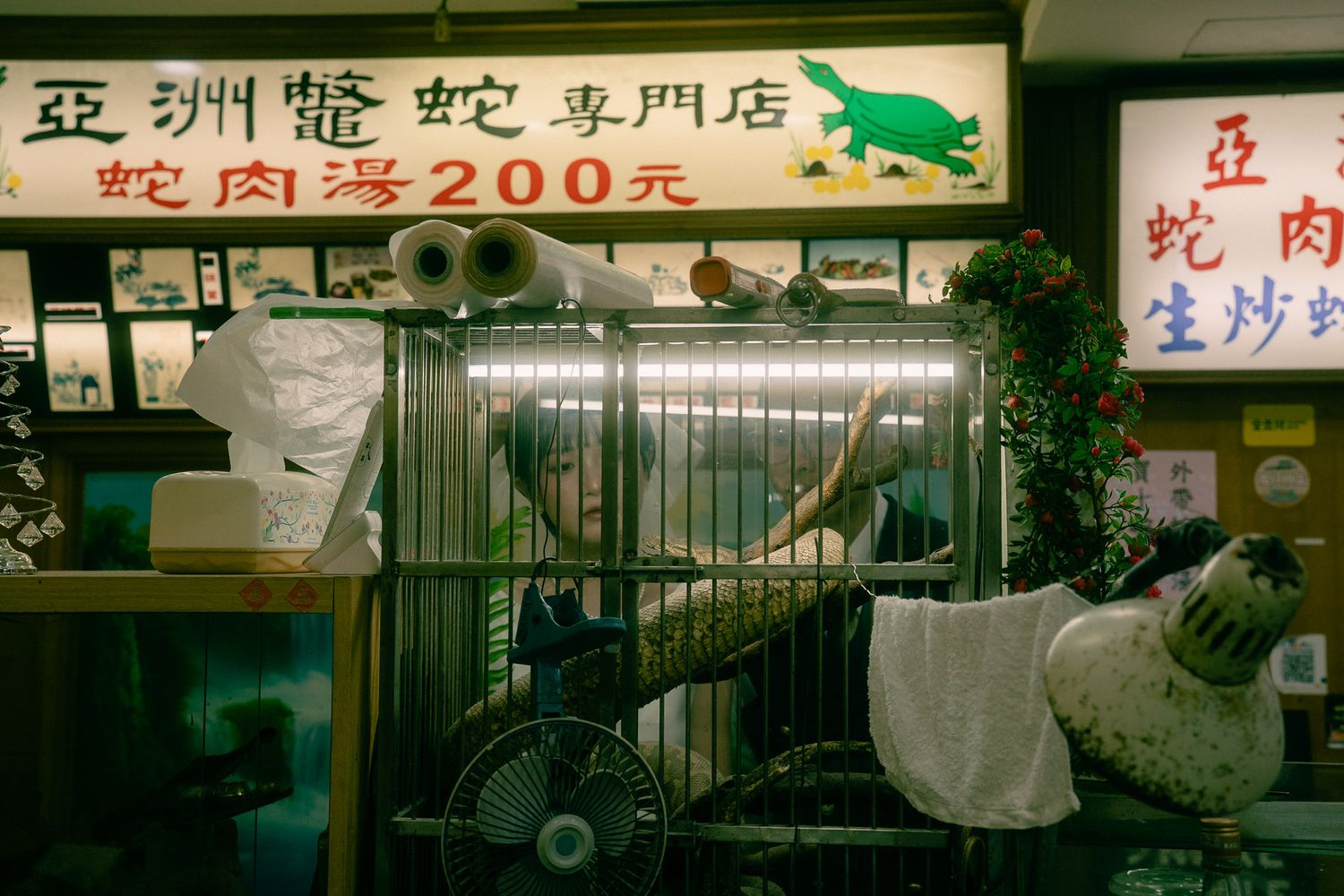 Sunny and Leo peeking through a snake restaurant display during their playful Huaxi Street Night Market pre-wedding photoshoot