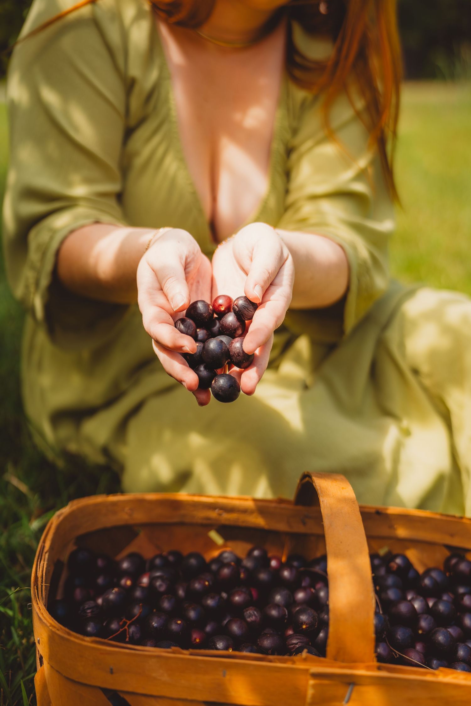 Woman in green dress holding fresh dark berries over a wooden basket filled with harvested fruit outdoors.
