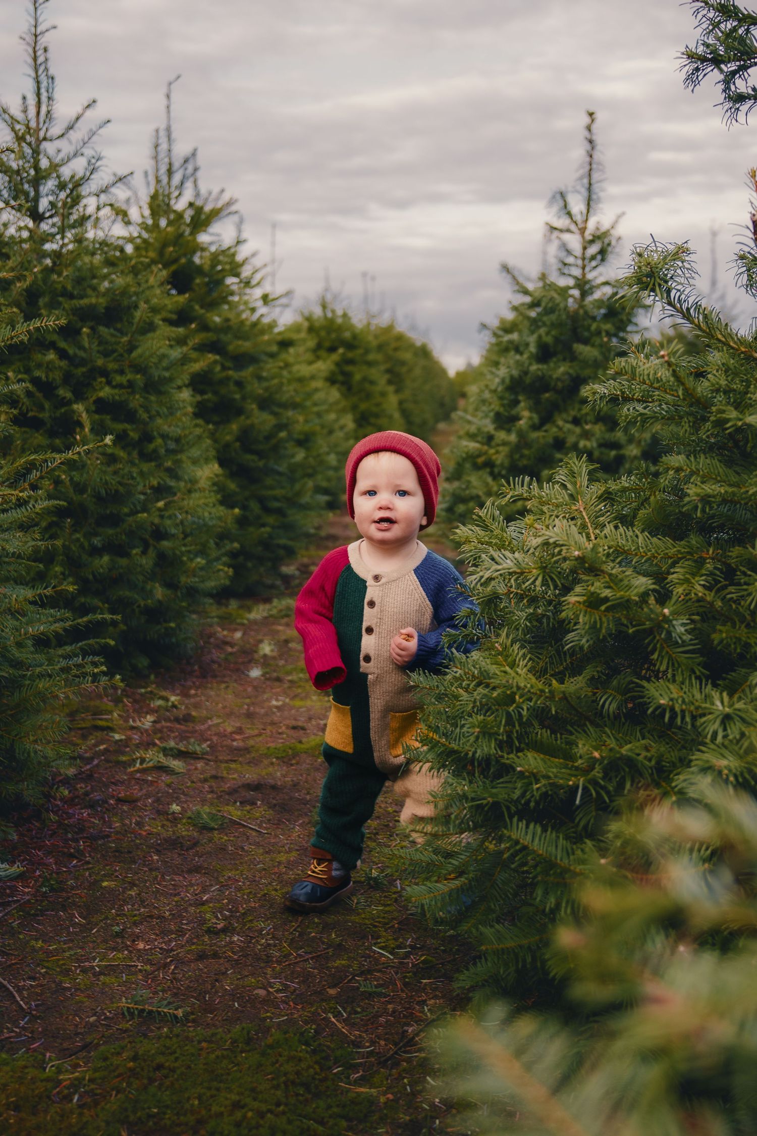 Toddler in colorful outfit and red hat walks between rows of green Christmas trees at a tree farm.