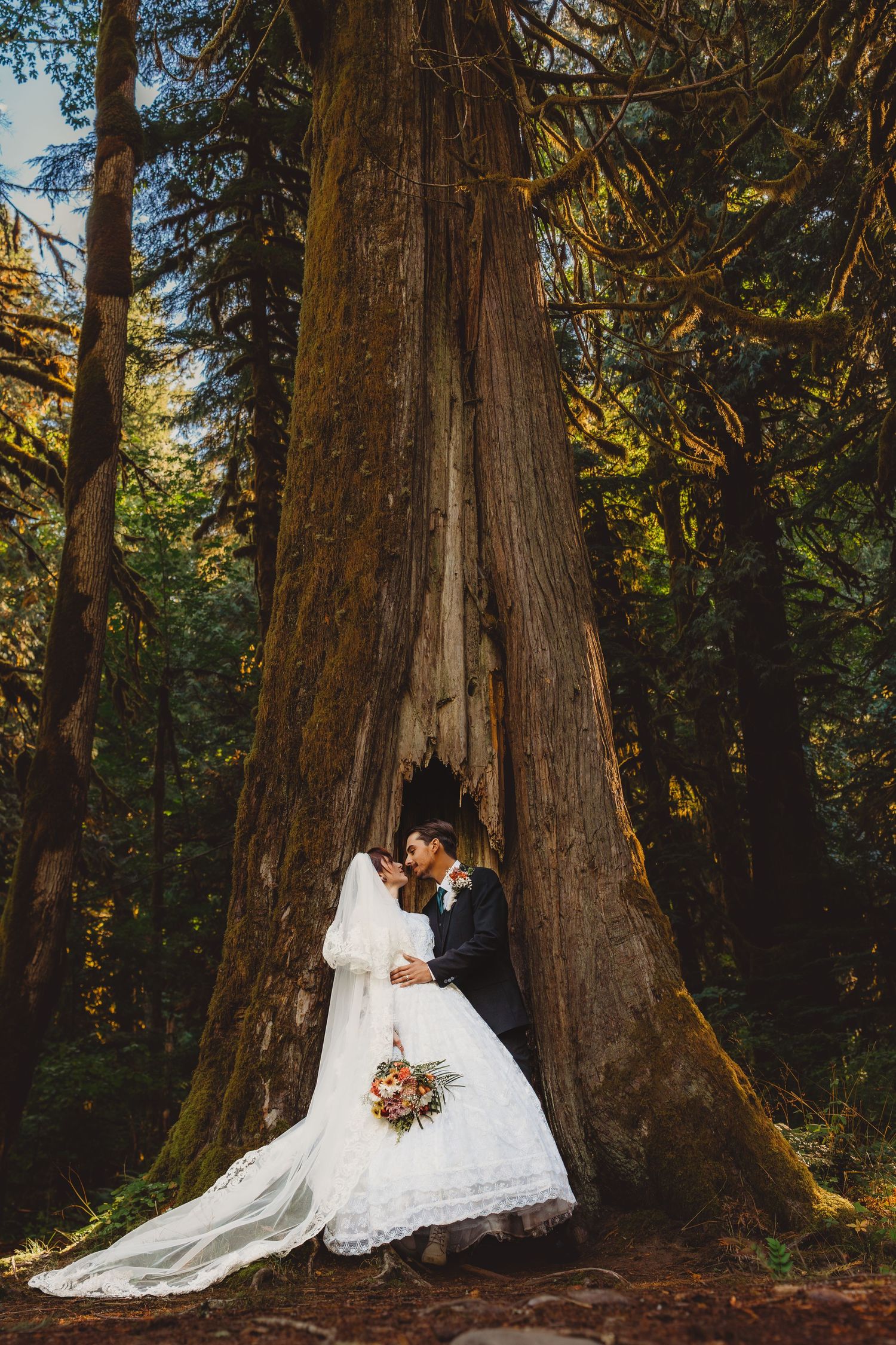 Bride and groom kissing at base of giant cedar tree in lush forest, bride in long white lace dress holding bouquet.
