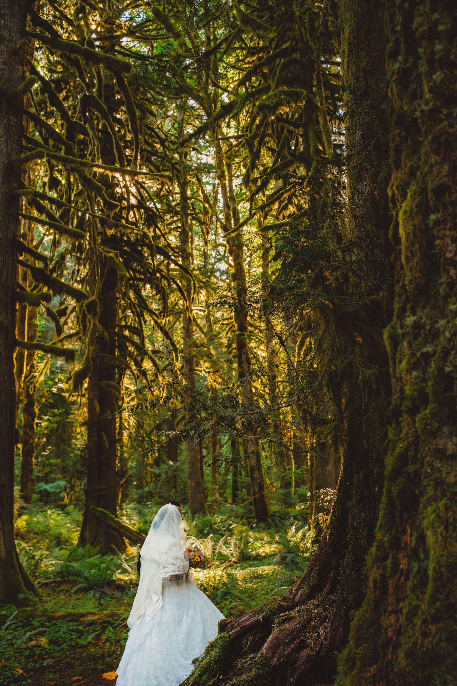 Bride in white wedding dress and veil standing among tall moss-covered trees in a lush green forest.