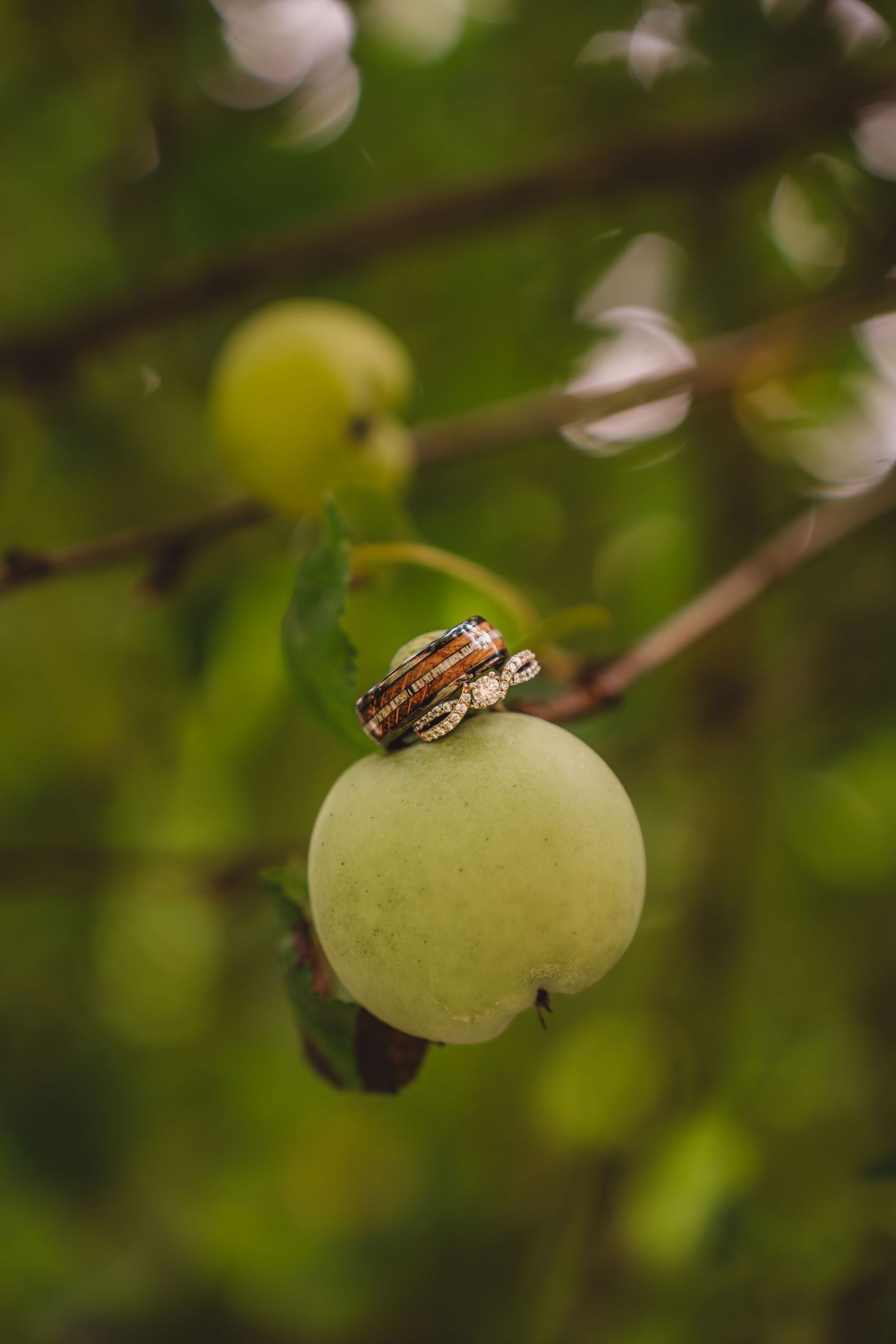 Two gold wedding rings resting on a small green apple hanging from a tree branch with blurred foliage background.