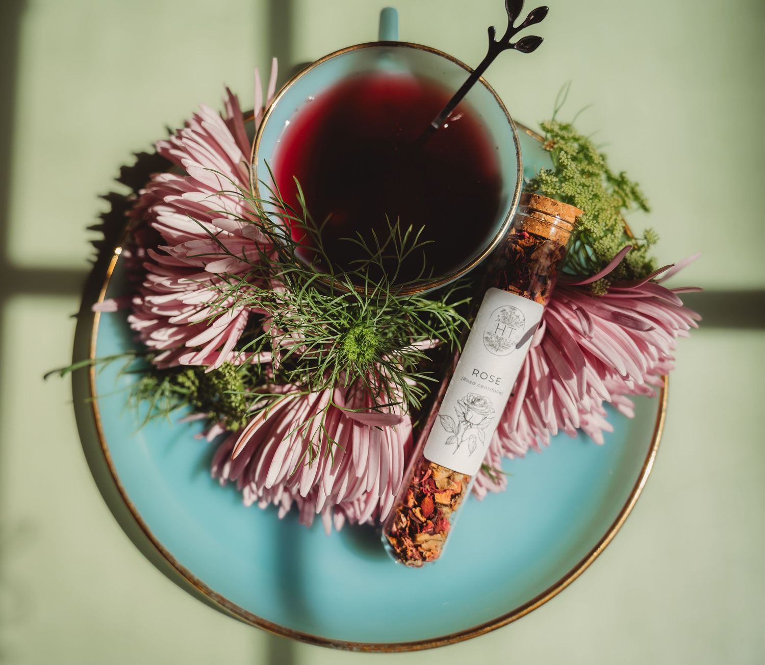 Overhead view of dark herbal tea in a glass cup surrounded by pink chrysanthemums and a botanical tincture bottle on a blue plate.