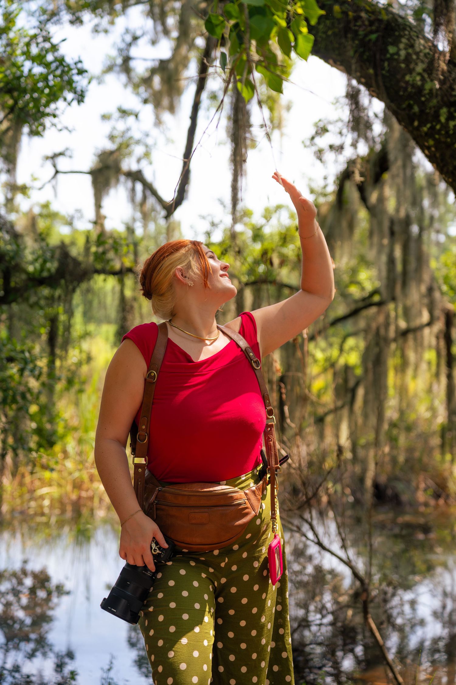Woman in red top and green polka dot pants reaching up to touch Spanish moss on a tree in a sunny swamp.