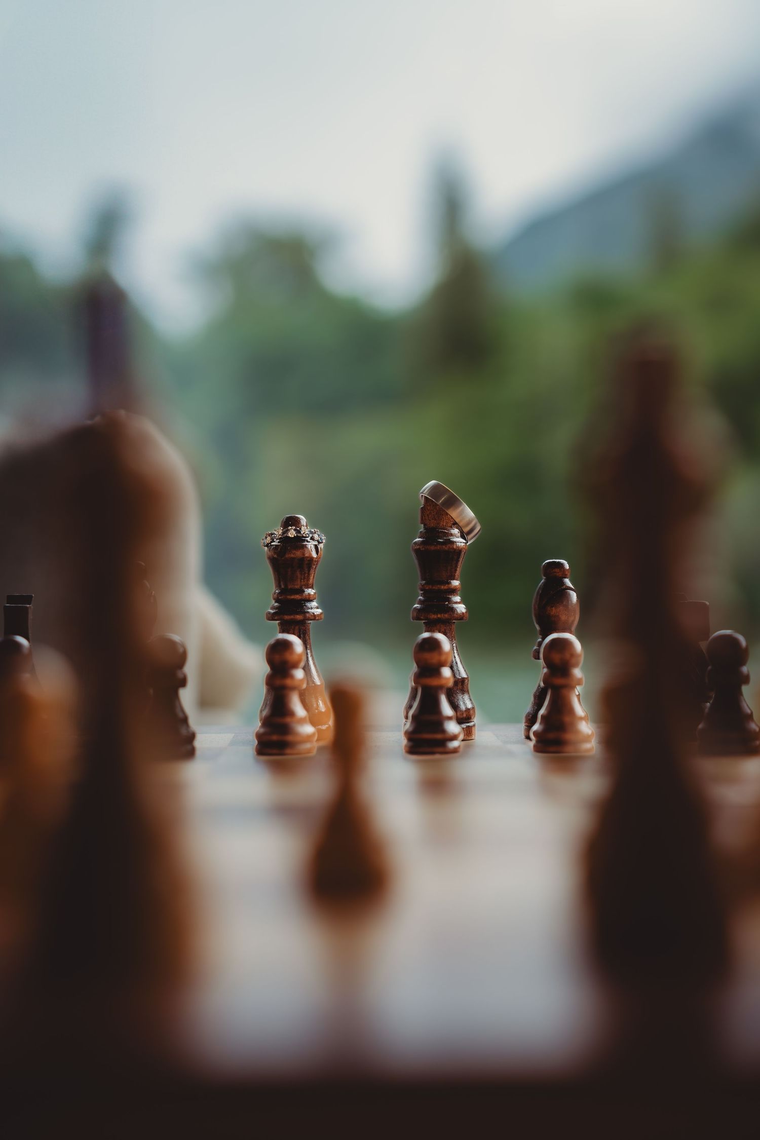 Wooden chess pieces arranged on a board with a blurred natural green background outdoors. north cascades