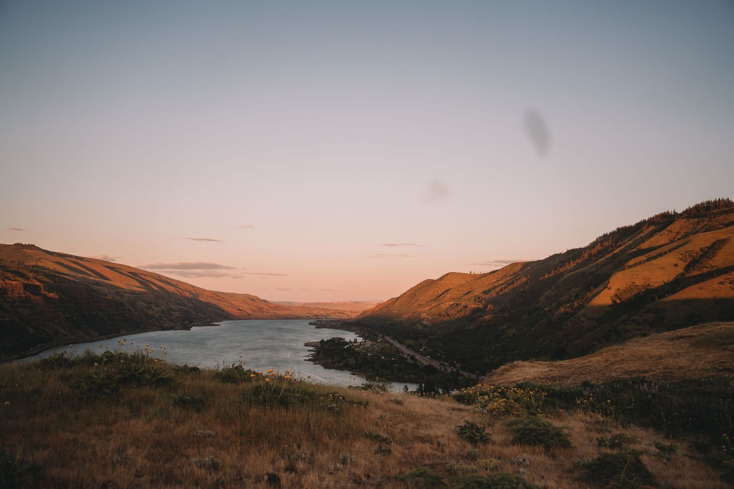 Golden sunset over a serene river valley nestled between rolling hills in New Zealand.