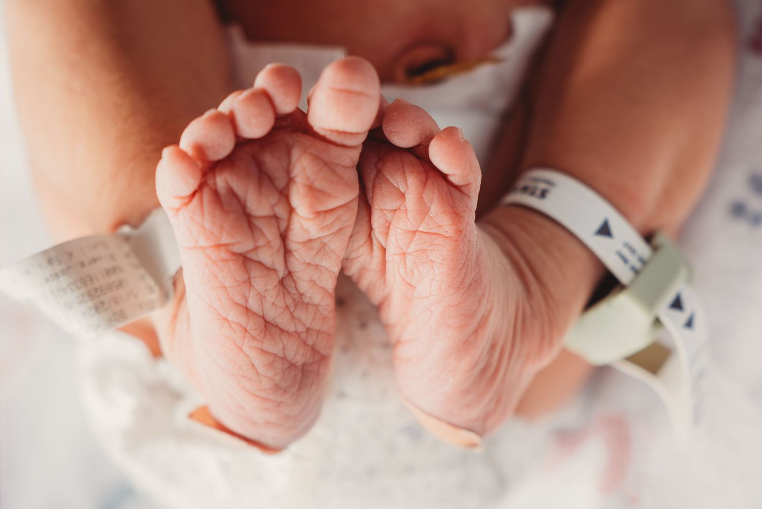 Close-up of newborn baby feet with hospital identification bracelets.