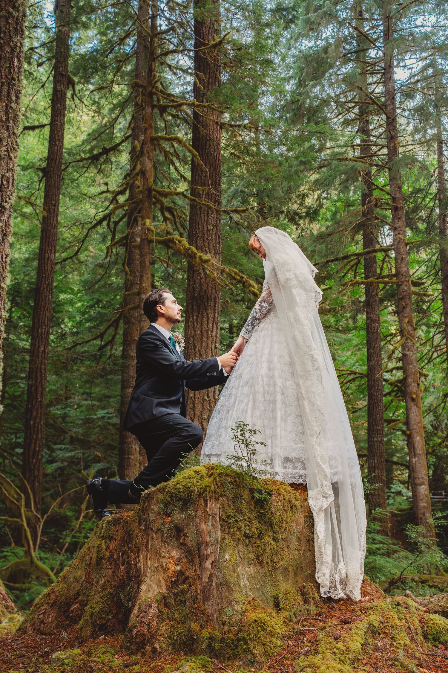 Bride and groom in forest wedding photo, groom kneeling on mossy stump holding bride's hand among tall pine trees.