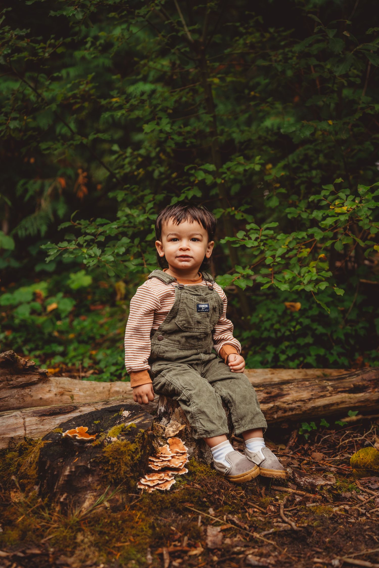 Toddler in green overalls sitting on a mossy log in a lush forest with mushrooms nearby.