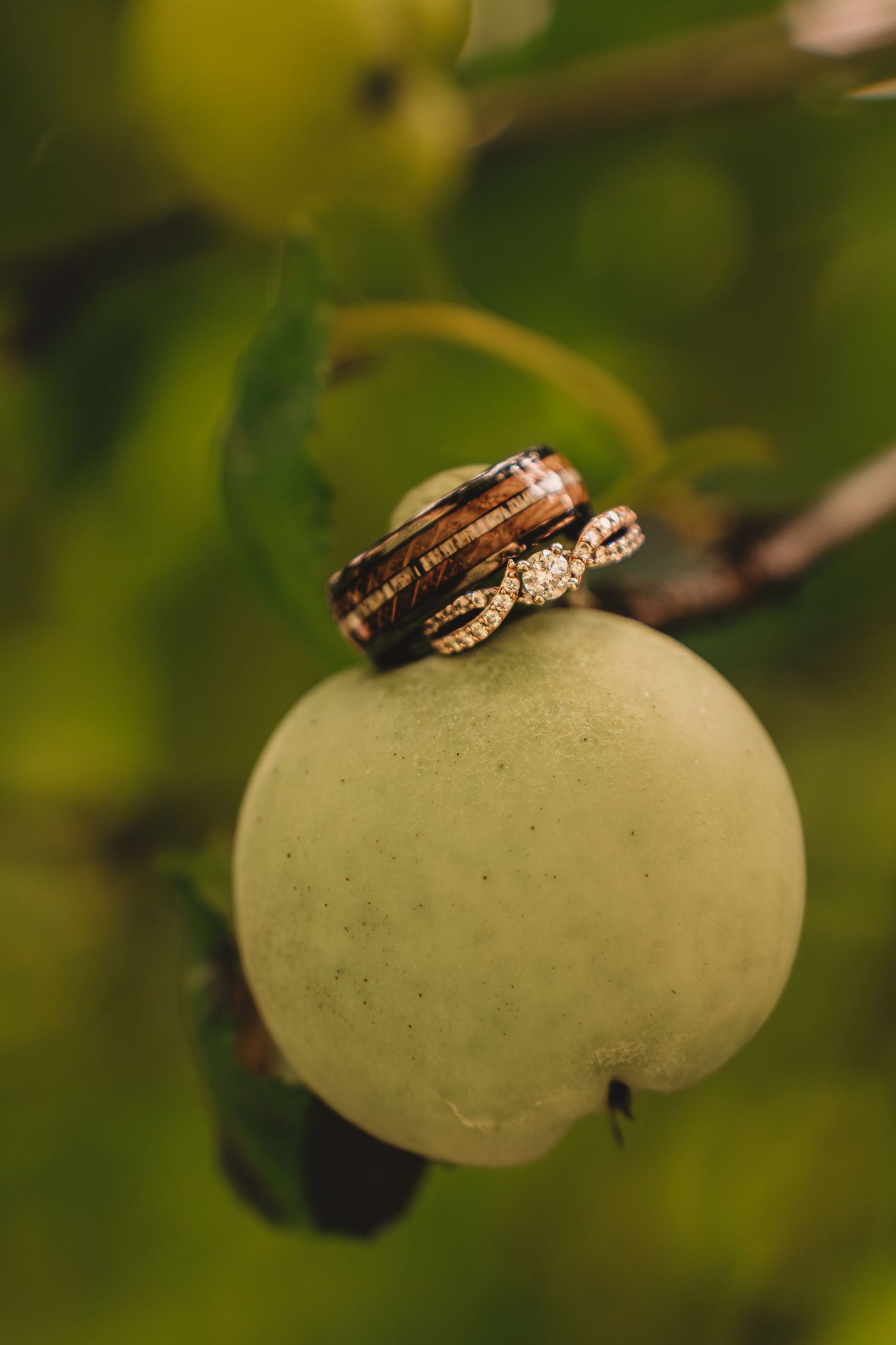 Wedding rings resting on a green apple hanging from a tree branch, showcasing a diamond band and wooden inlay ring. Washington