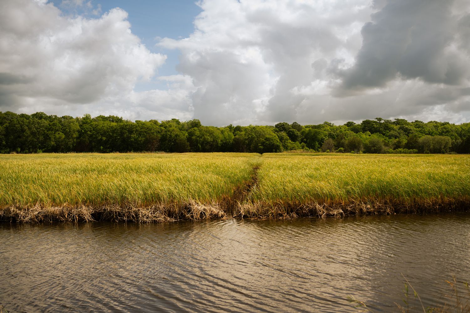 A serene river flows alongside lush green marshland with a dense tree line under a partly cloudy sky.