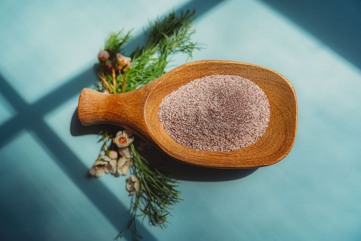 Fine pink salt or seeds in a wooden paddle spoon with dill sprigs on blue background.