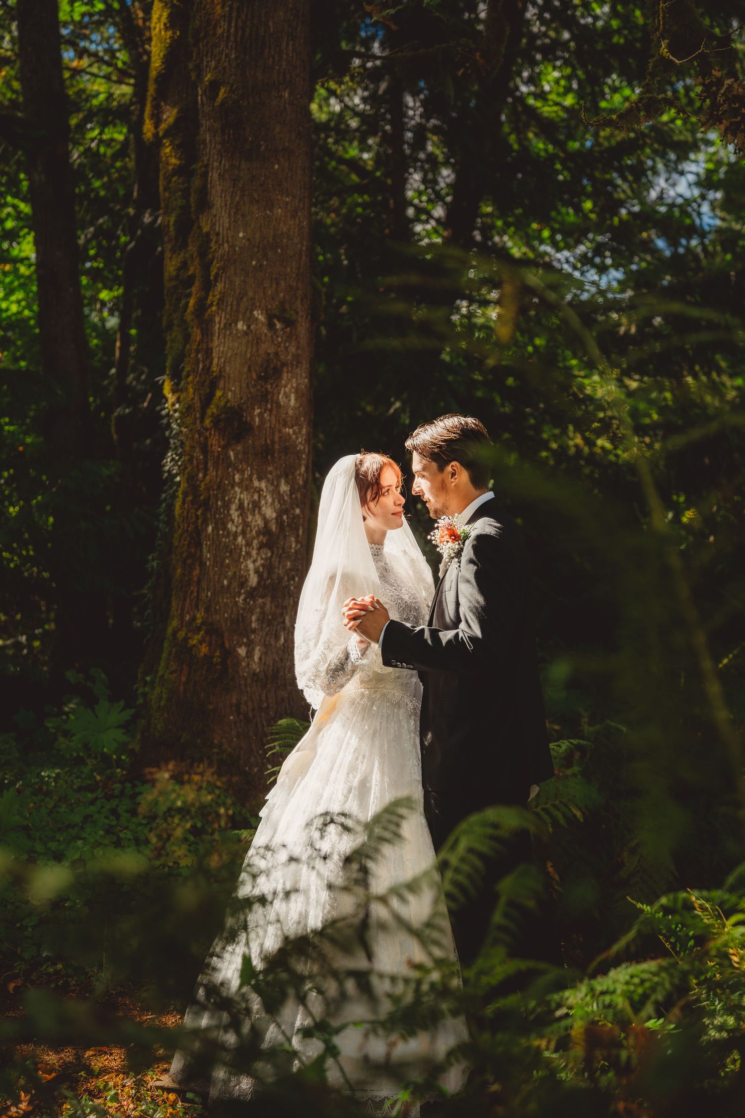 A bride and groom share a romantic embrace in a sunlit forest, surrounded by lush green ferns and tall trees.