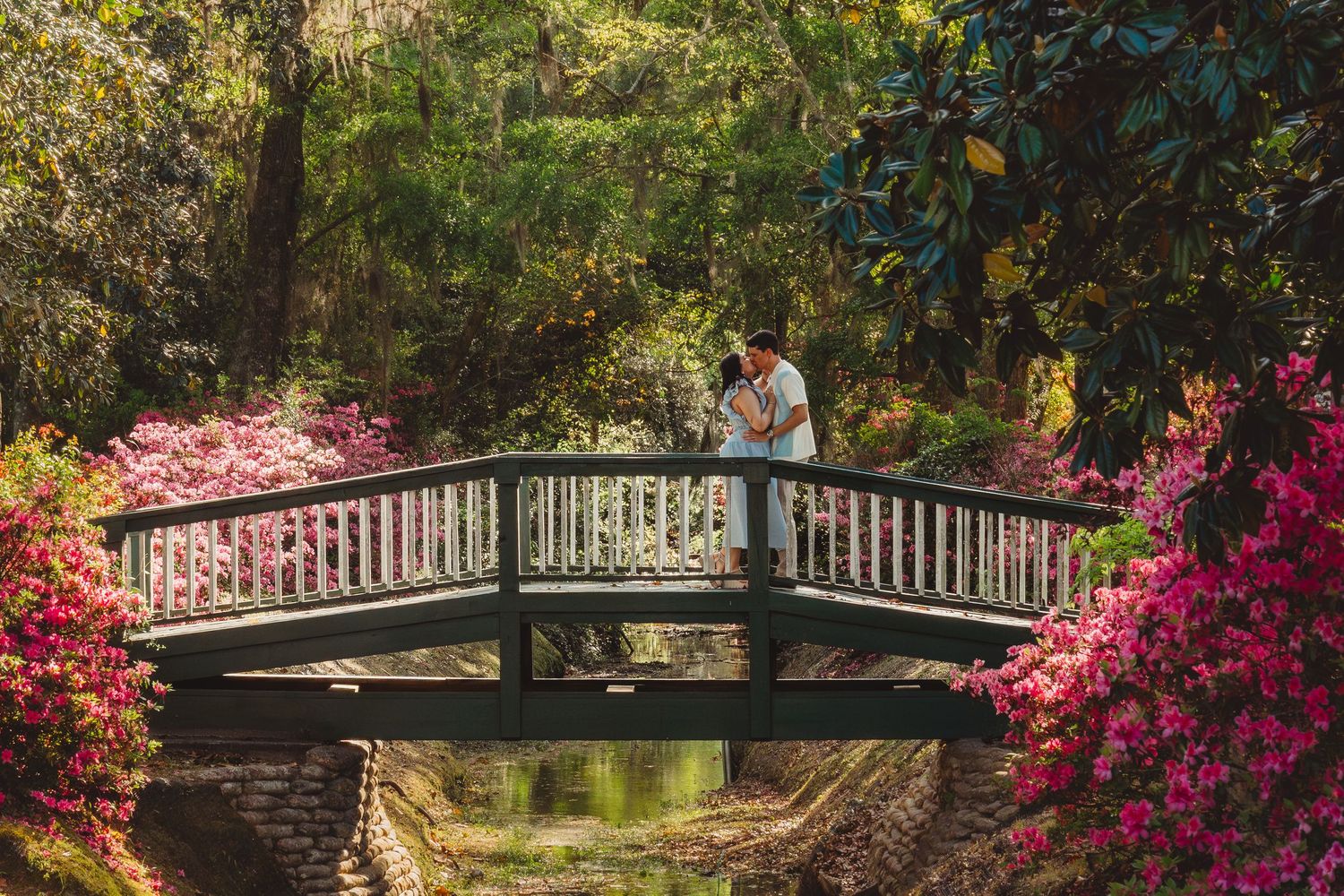Couple embracing on a wooden bridge surrounded by vibrant pink azaleas and lush green trees in a romantic garden setting.