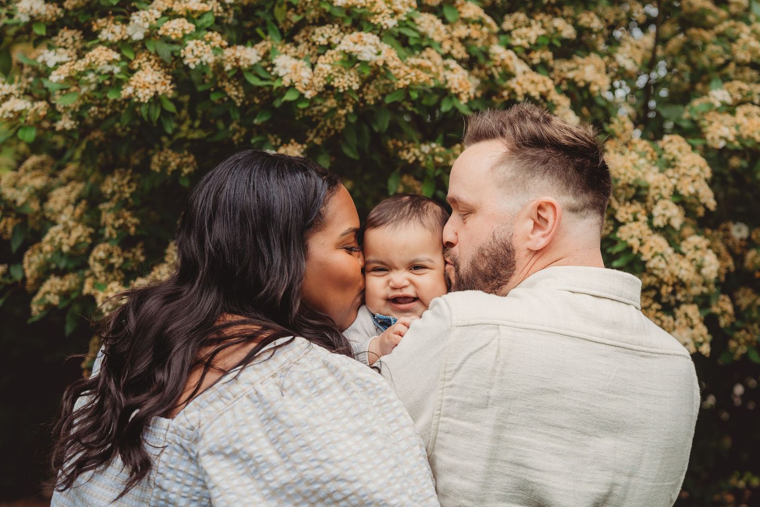 Happy couple kissing their laughing baby outdoors near blooming white flowers. monks corner