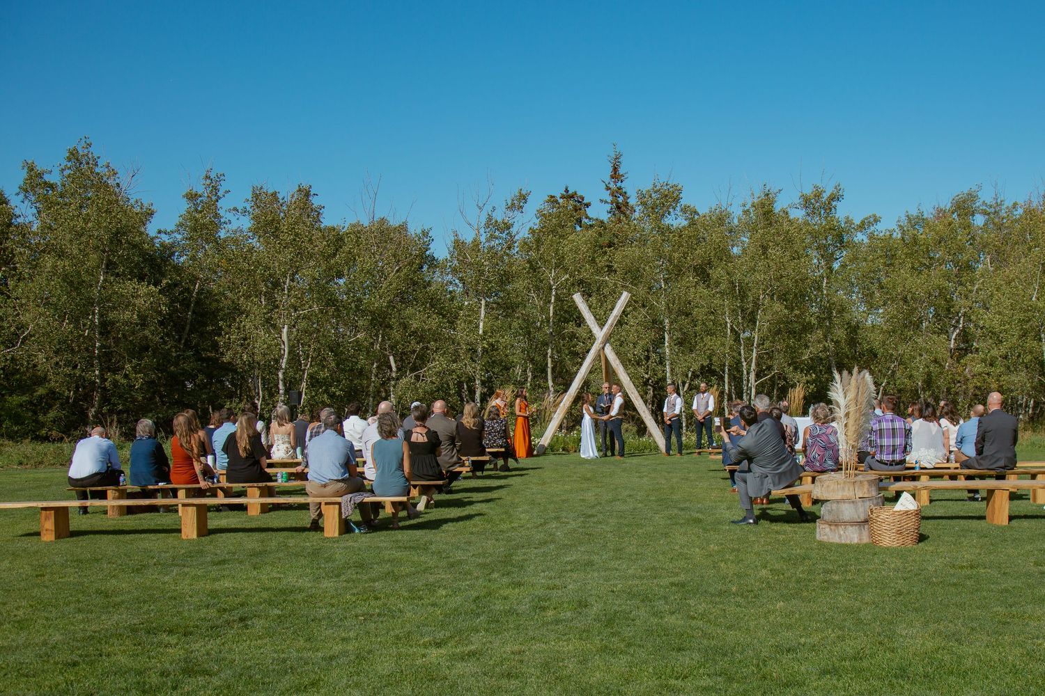 Panoramic view of wedding guests seated on wooden benches in an aspen grove.