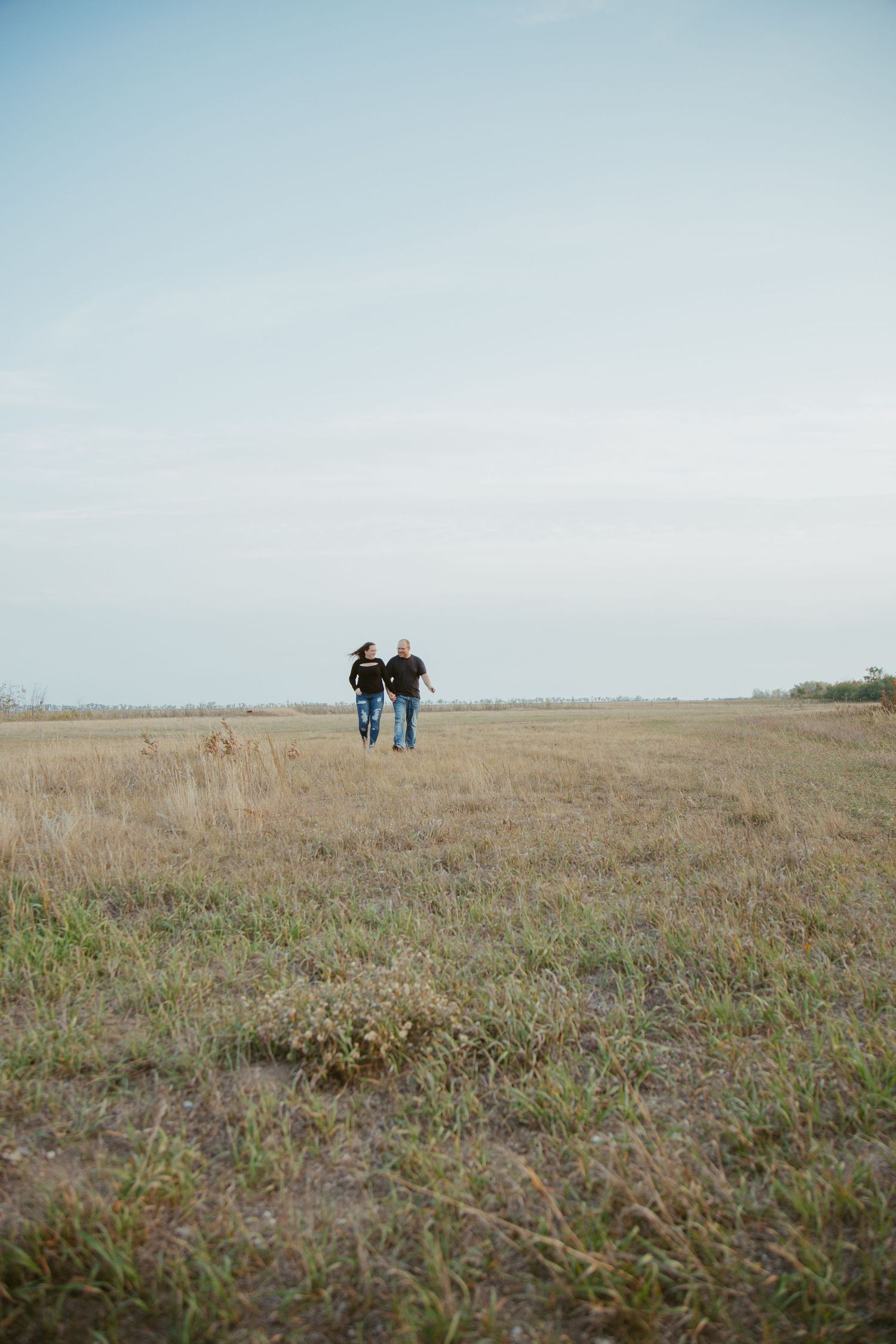 Wide landscape view of a grassy field under blue sky.