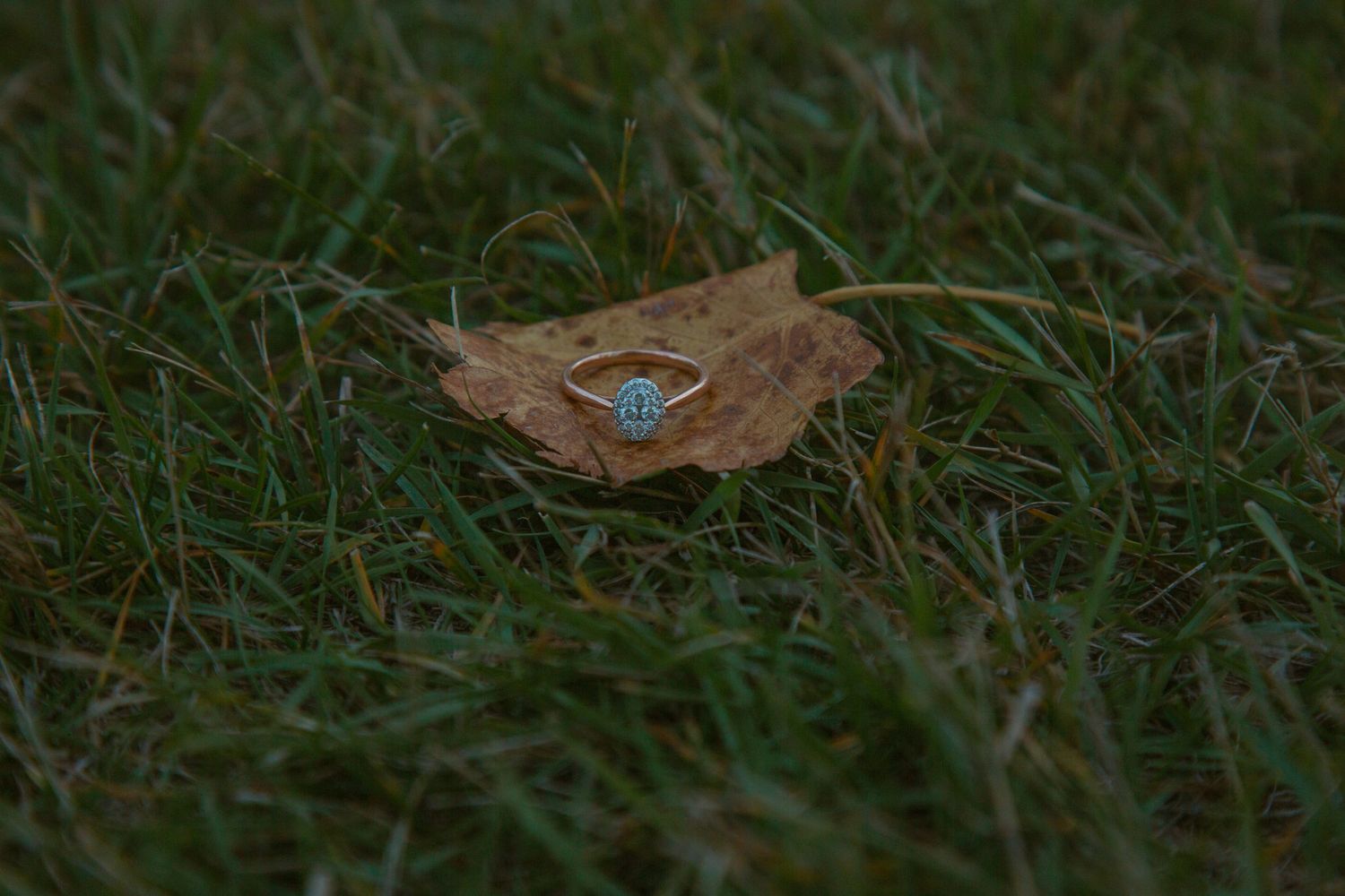 A delicate engagement ring sits atop a fallen autumn leaf in green grass.