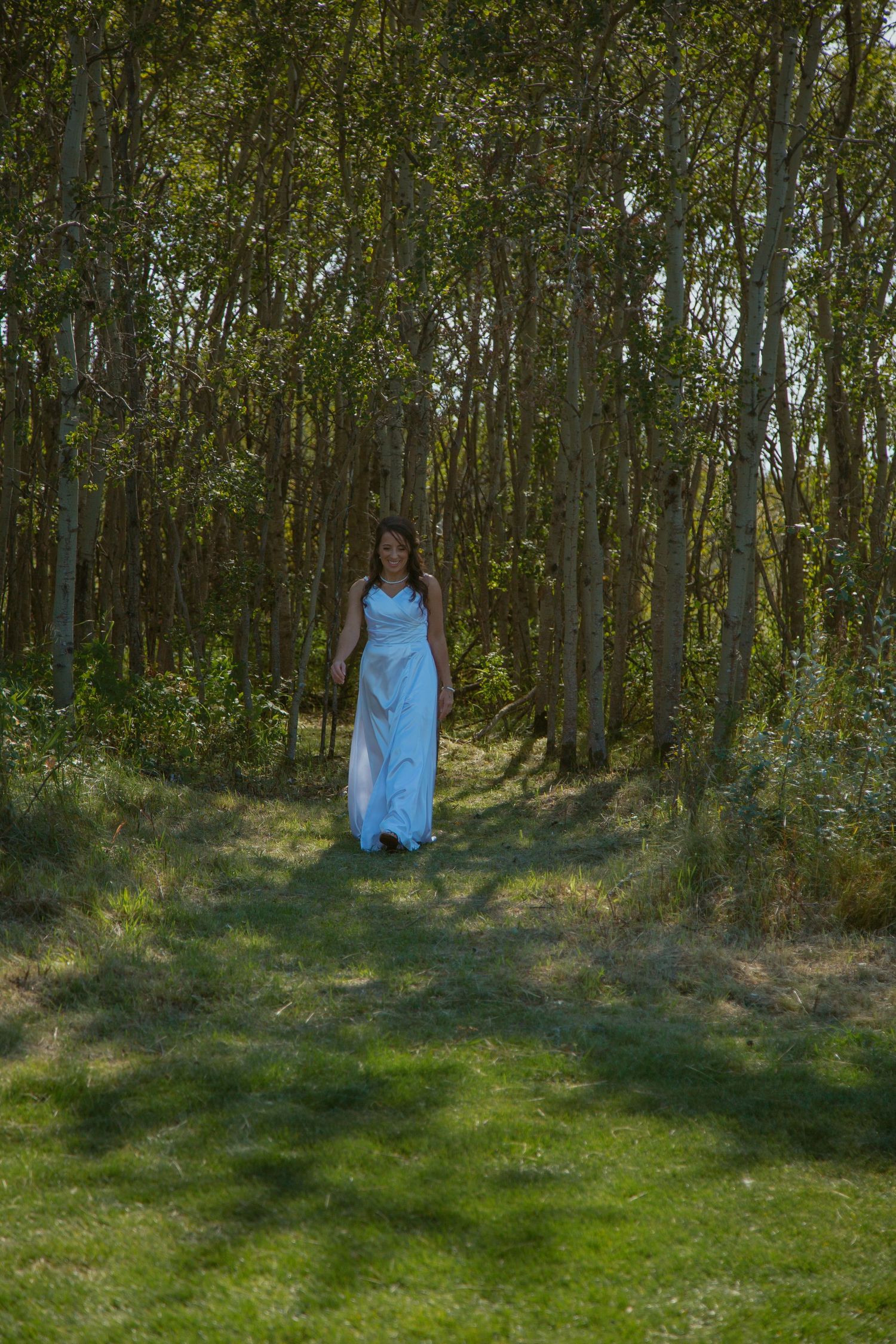 Person in blue dress standing among tall trees in a sunlit forest.