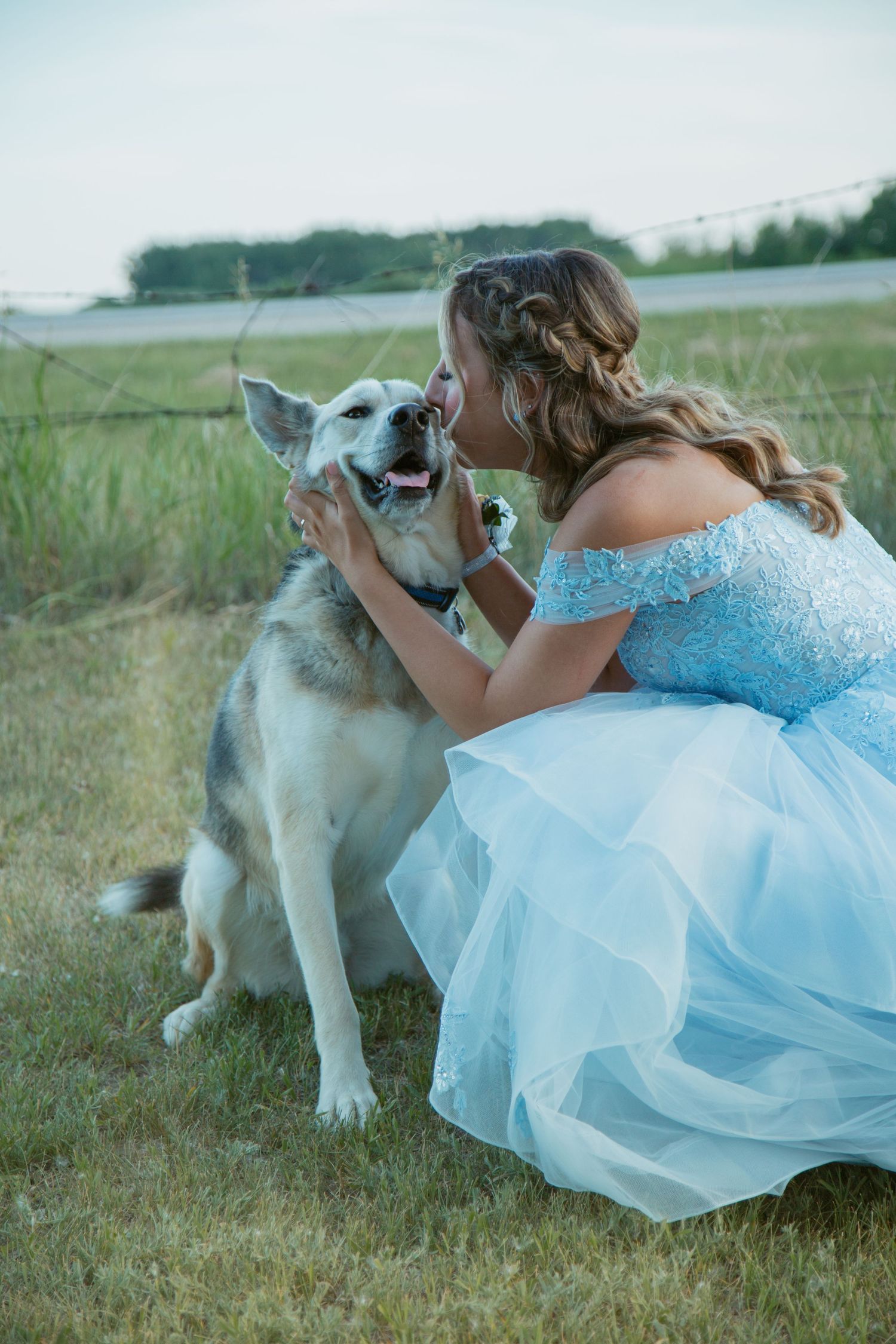 A formal dress poses with a husky dog in a grassy field during an outdoor photoshoot.