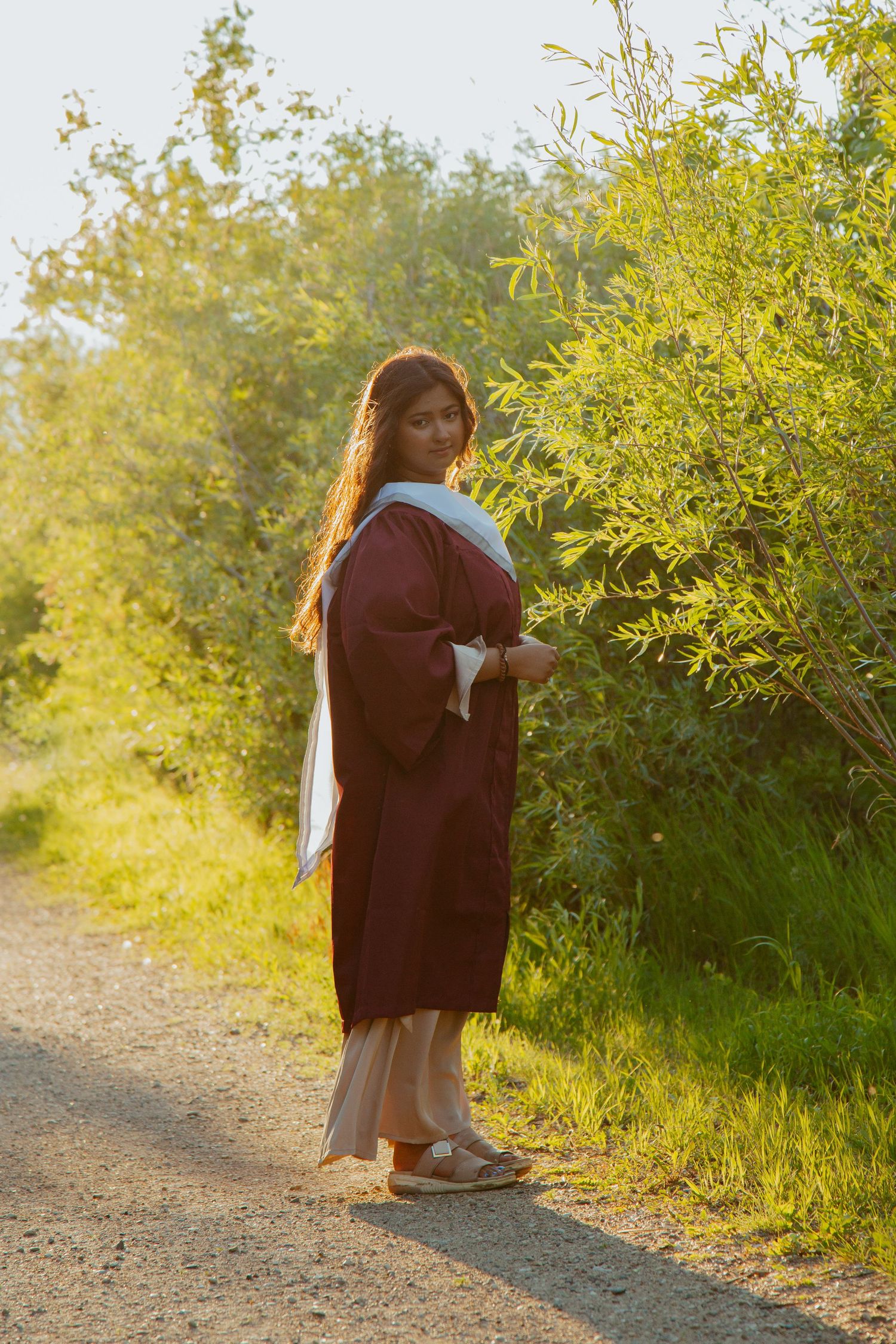 Series of backlit silhouettes walking along nature path with golden sunlight.