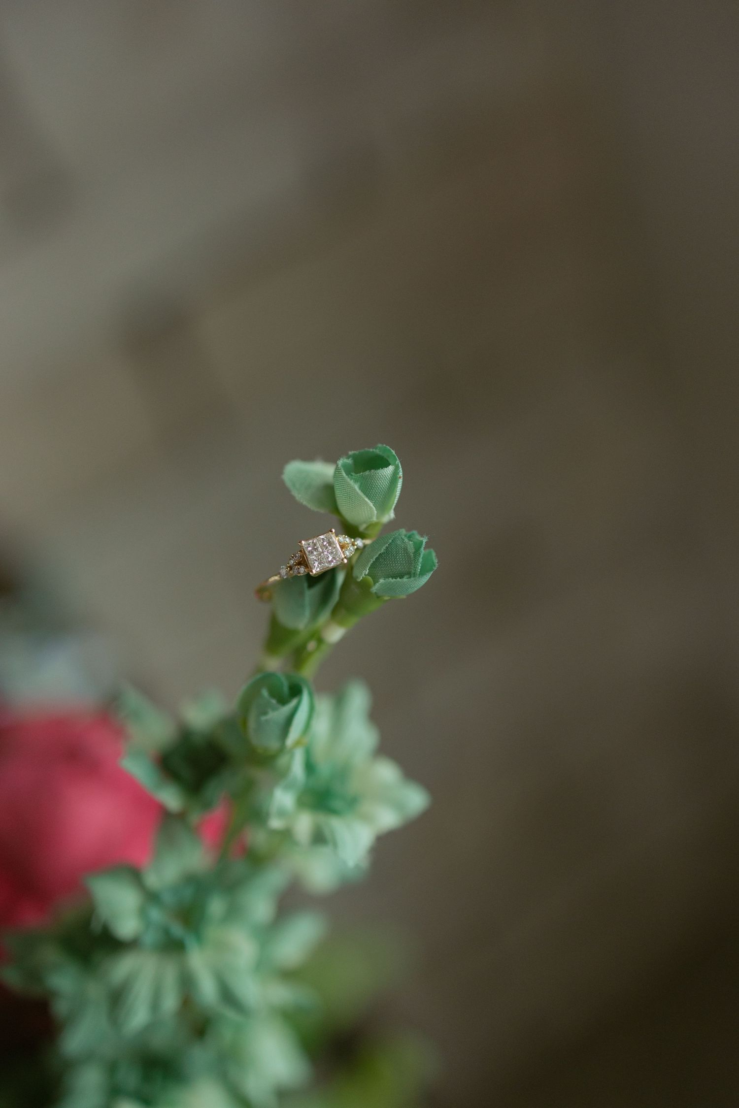 Gold diamond engagement ring elegantly balanced on green flower buds with red blooms in the background.