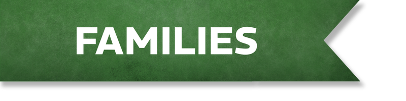 Green banner with white bold text reading FAMILIES, shaped like an arrow pointing right.