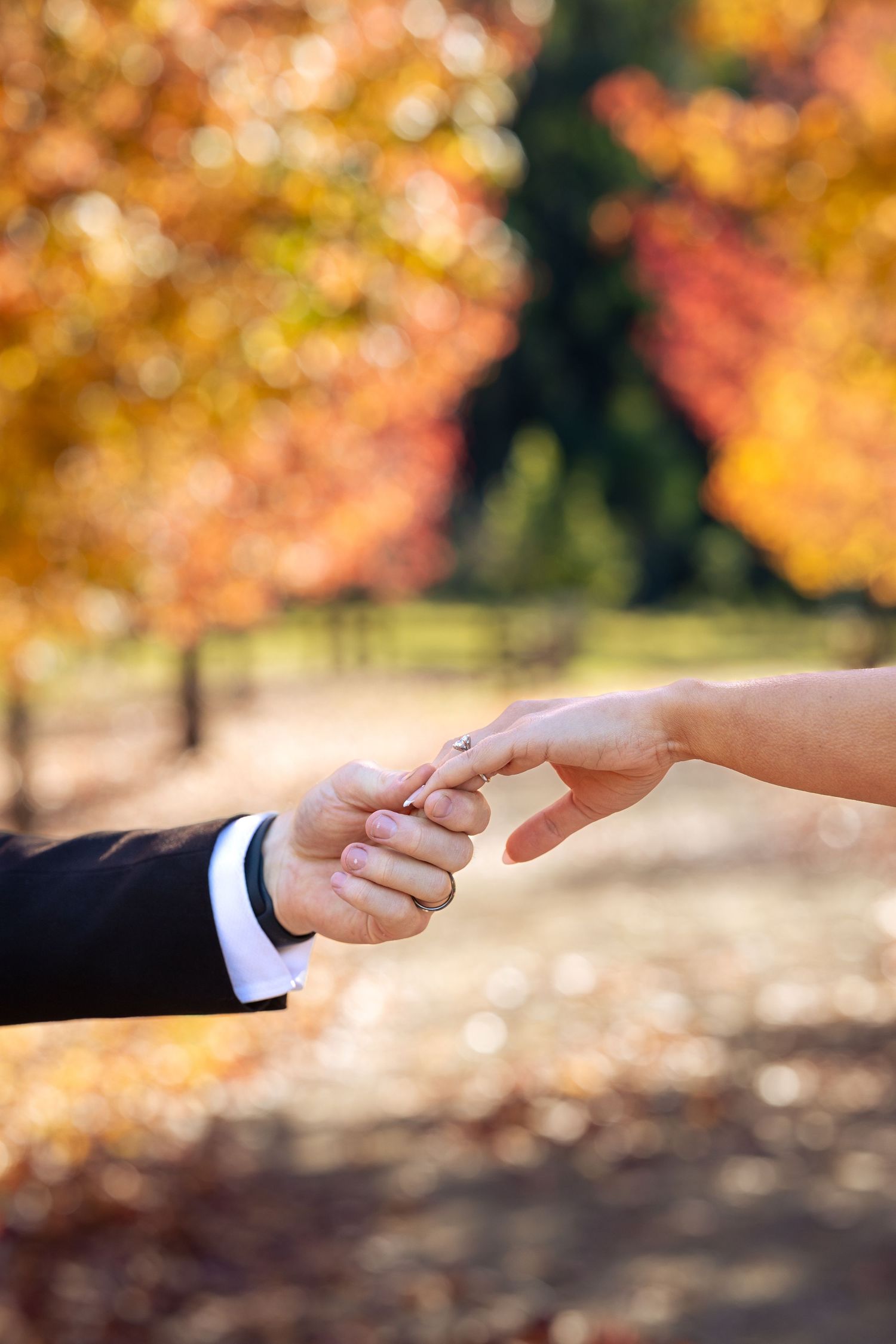Groom placing a diamond engagement ring on bride's finger in an autumn park with colourful fall foliage at Lawson Park, Hartley Vale.