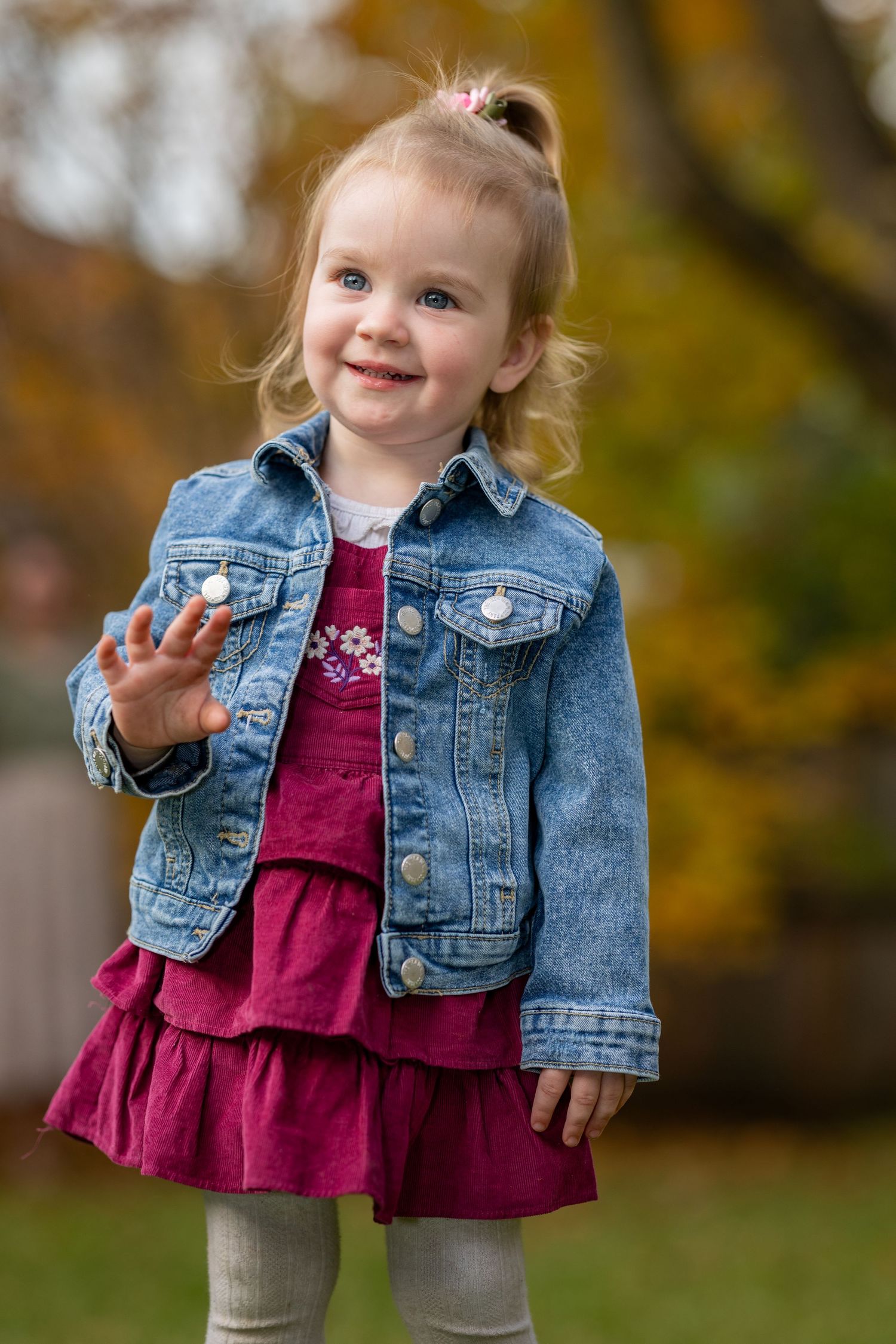 Smiling toddler girl in denim jacket and burgundy dress waving outdoors in autumn park setting. Family photo in Winmalee, Blue Mountains.