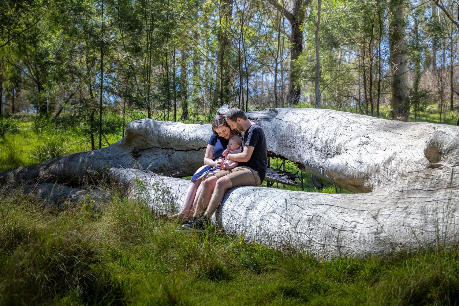 A couple sits together on a fallen white tree trunk at Euroka Clearing in Glenbrook, Blue Mountains.