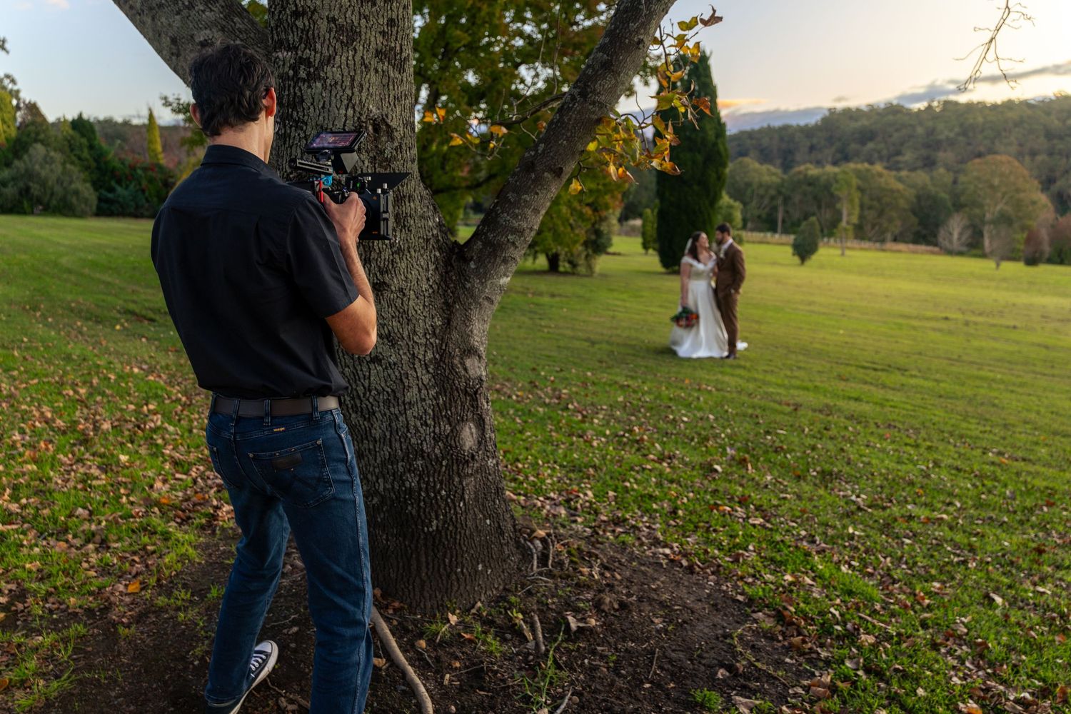 Videographer filming a wedding couple posing near a large tree in a lush green park at golden hour.