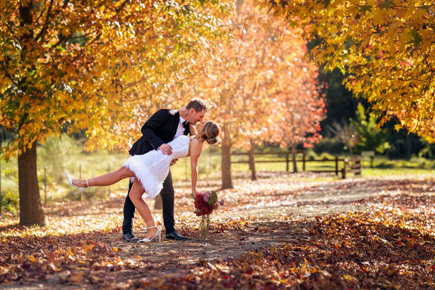 Couple sharing romantic dip kiss among golden autumn trees covered in fallen leaves in a sunlit park at Lawson Park, Hartley Vale.