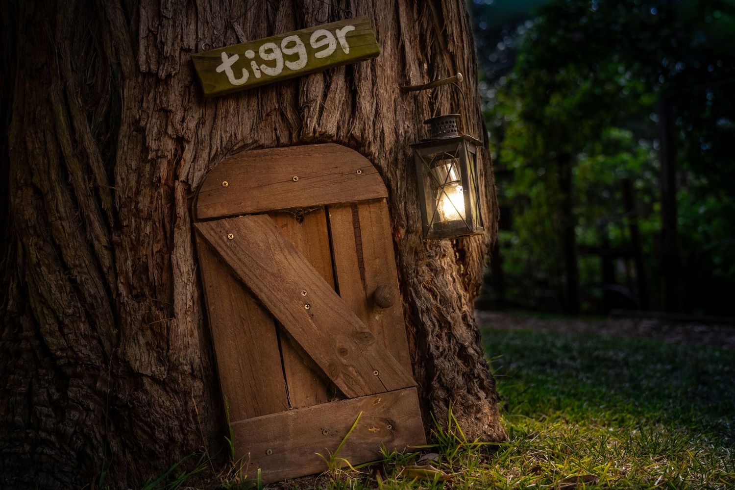 Wooden Tigger's door mounted on large tree trunk in enchanted garden setting in the Hundred Acre Wood.