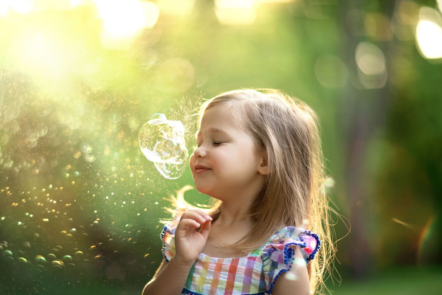 Magical moment blowing dandelion seeds in golden sunlight.
