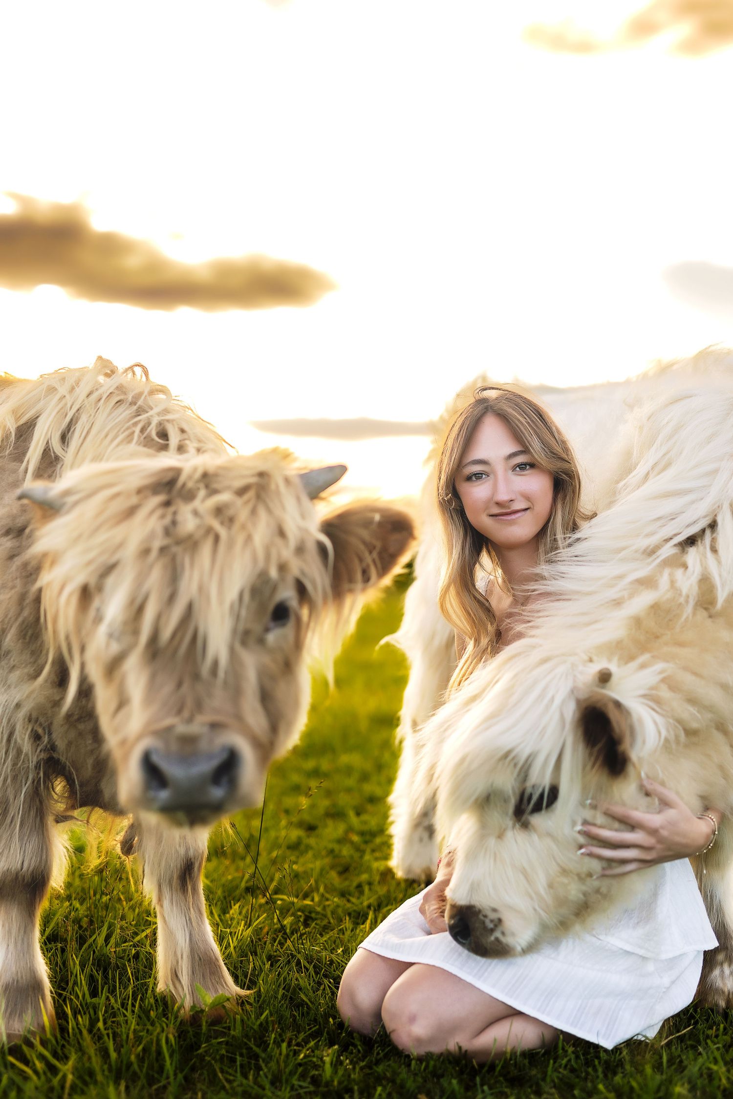 Highland cow and person in white dress relaxing in sunlit field.