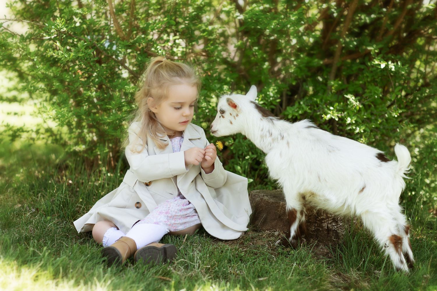 A white dog and small child play together on green grass in a sunny garden.