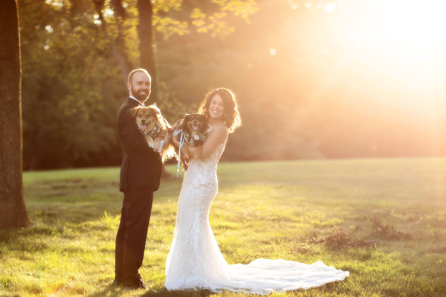 Golden hour photoshoot in grassy field with dramatic sunset lighting.