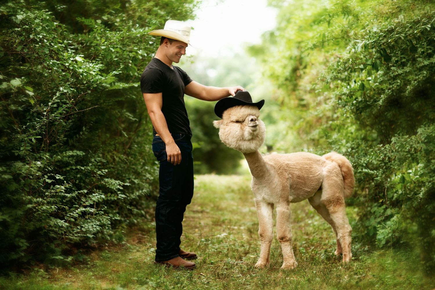 An alpaca receives a gentle pat from someone wearing black in a lush green forest path.