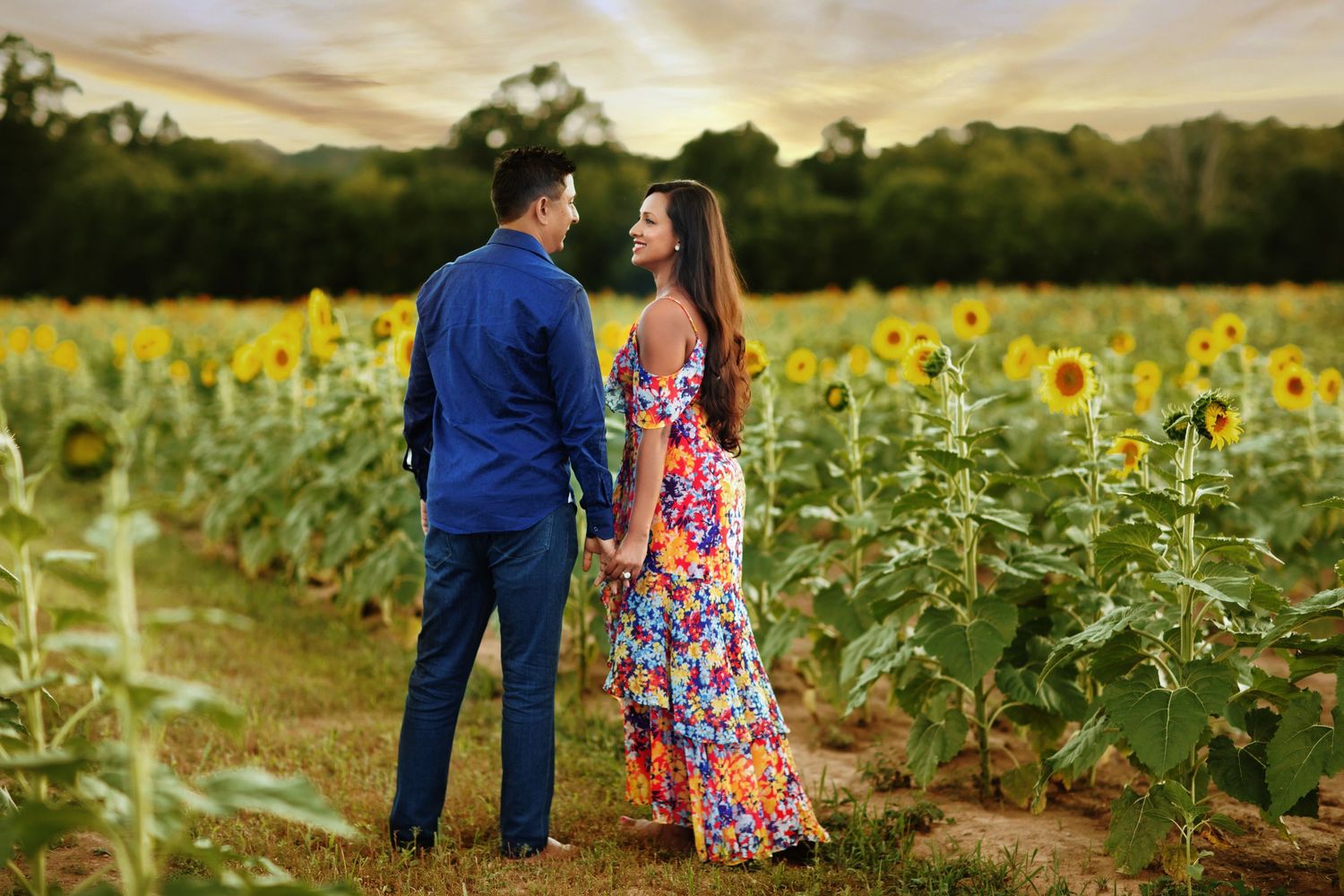 A couple stands together in a vibrant sunflower field at golden hour.