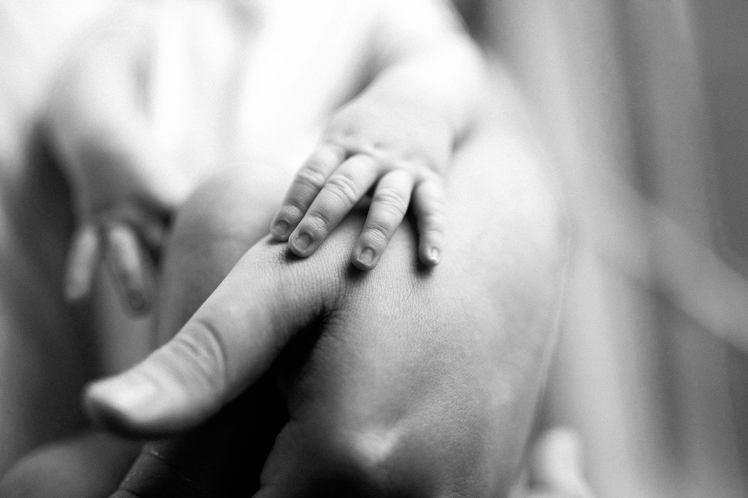 A close-up black and white photo of a tiny baby hand grasping an adult's finger.