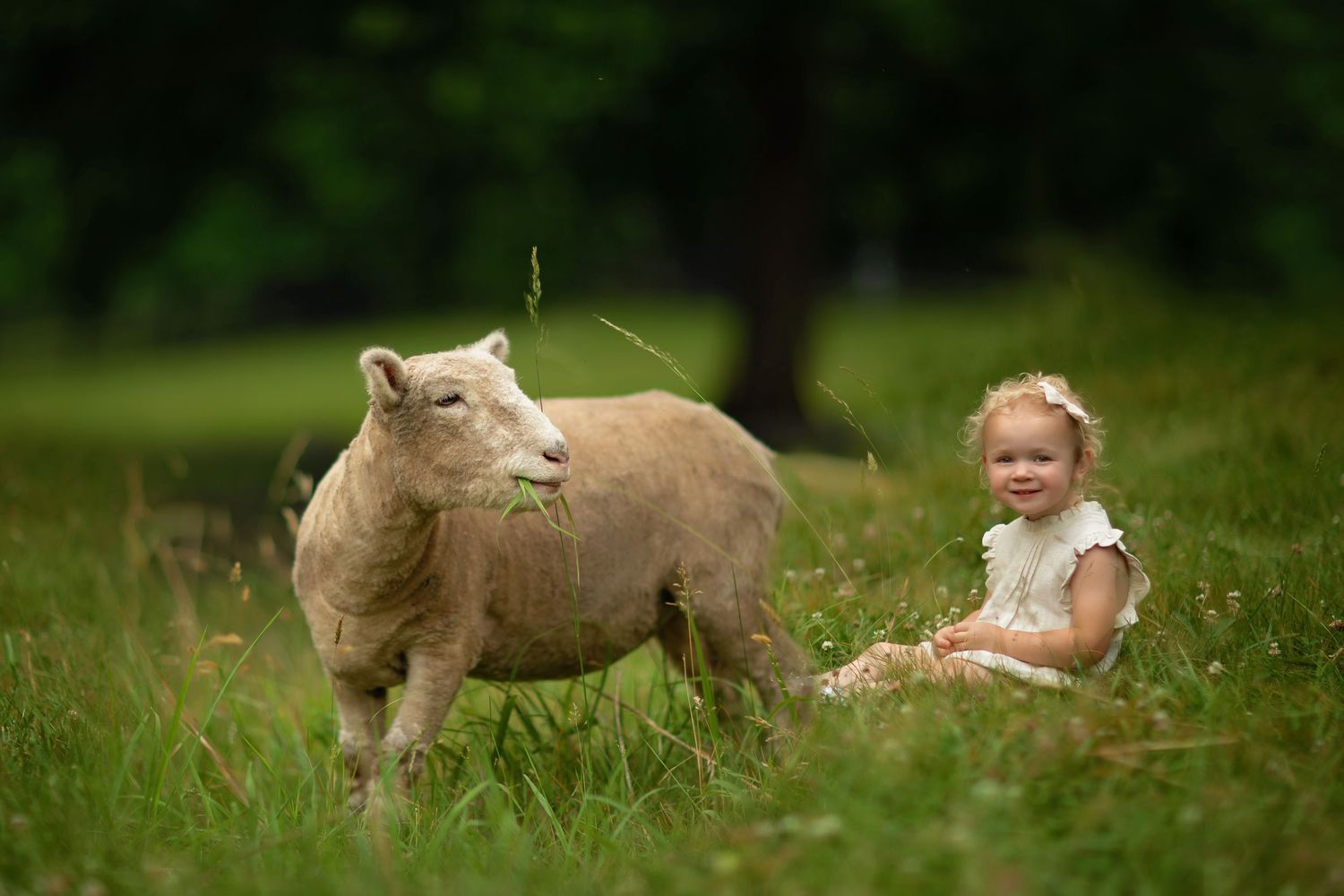 A fluffy sheep stands beside a small child in a grassy meadow on a summer day.