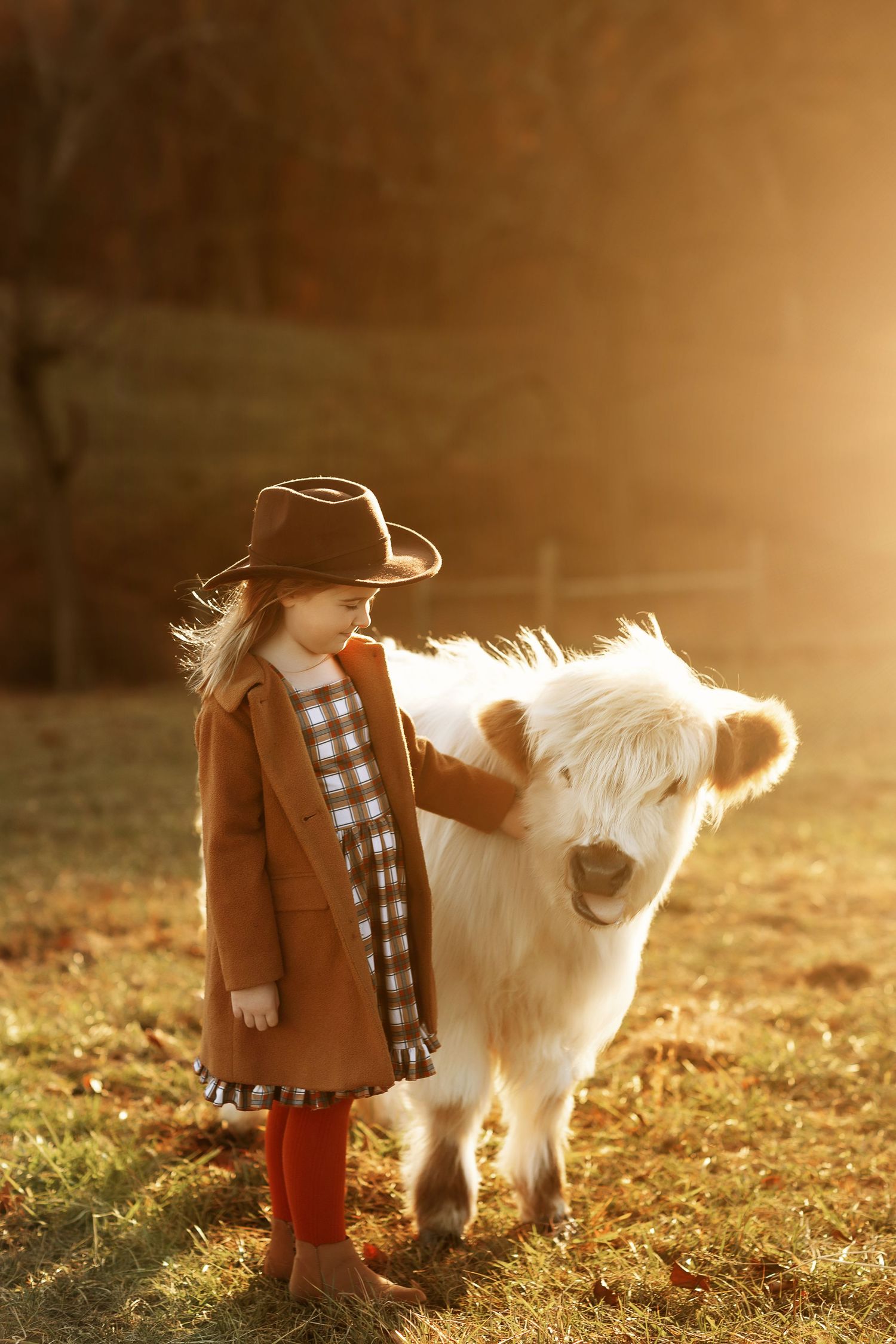 A child in a brown coat and hat stands next to a fluffy white Highland cow in golden sunlight.