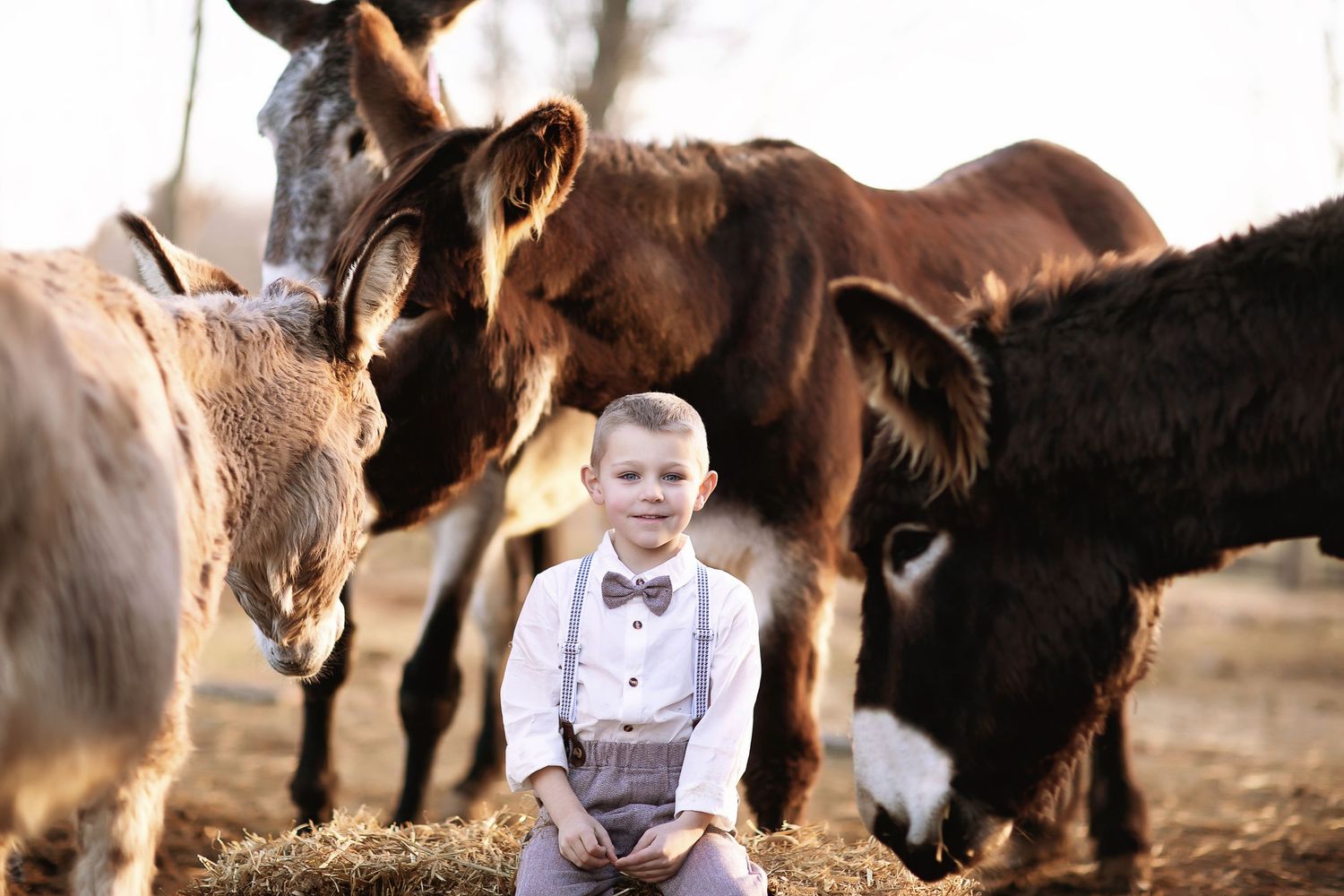 Several horses gather around a small child sitting on a wooden crate in a rustic setting.