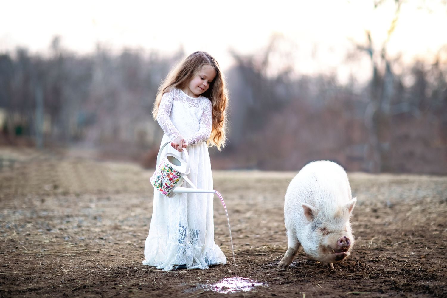 A white pig forages in a field at dusk while someone in a flowing white dress watches.