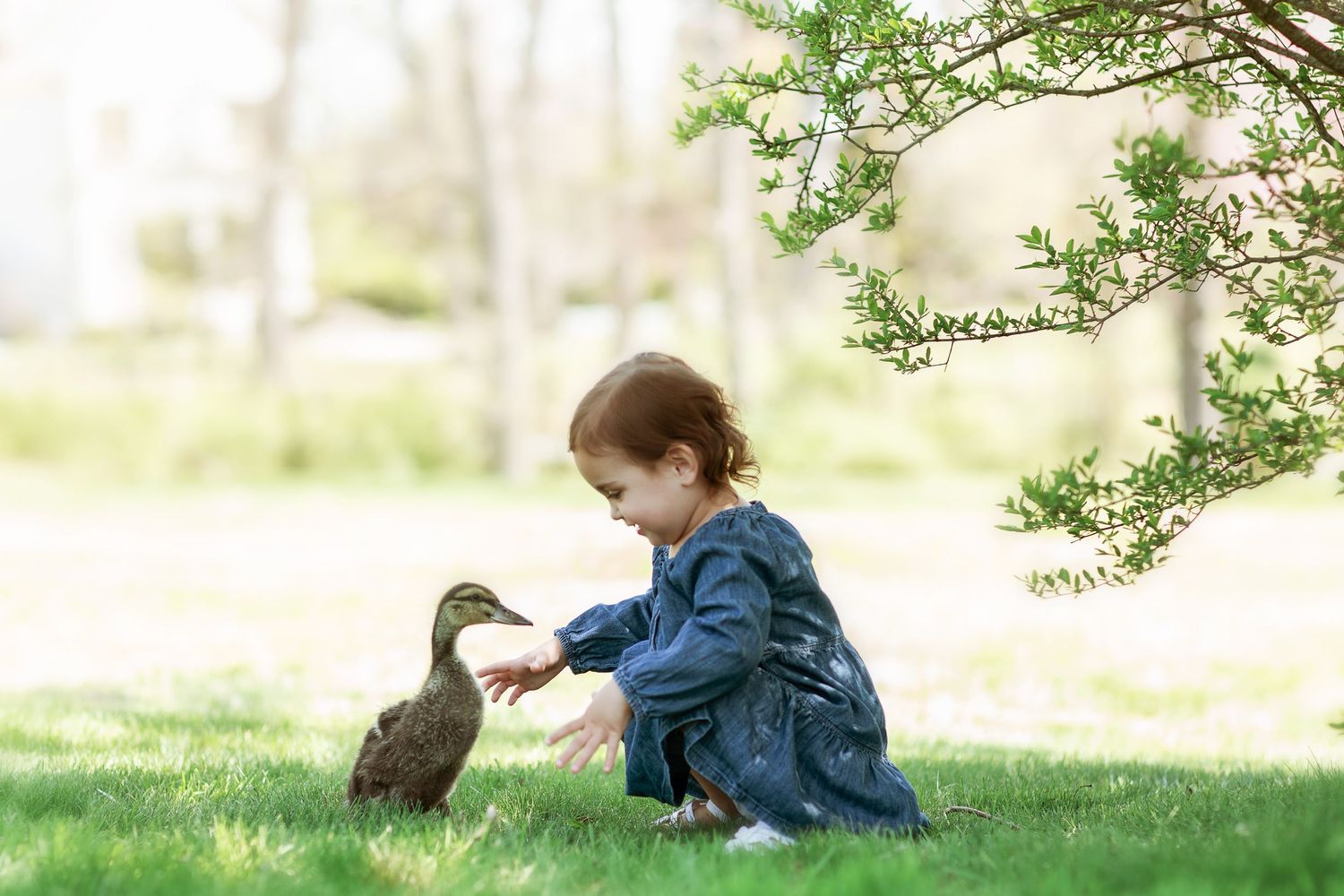 A peaceful outdoor scene with rabbits and children in a grassy area.