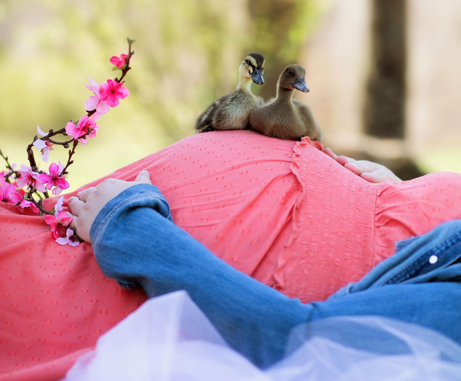 Two doves perched on pink and blue fabric with cherry blossoms.