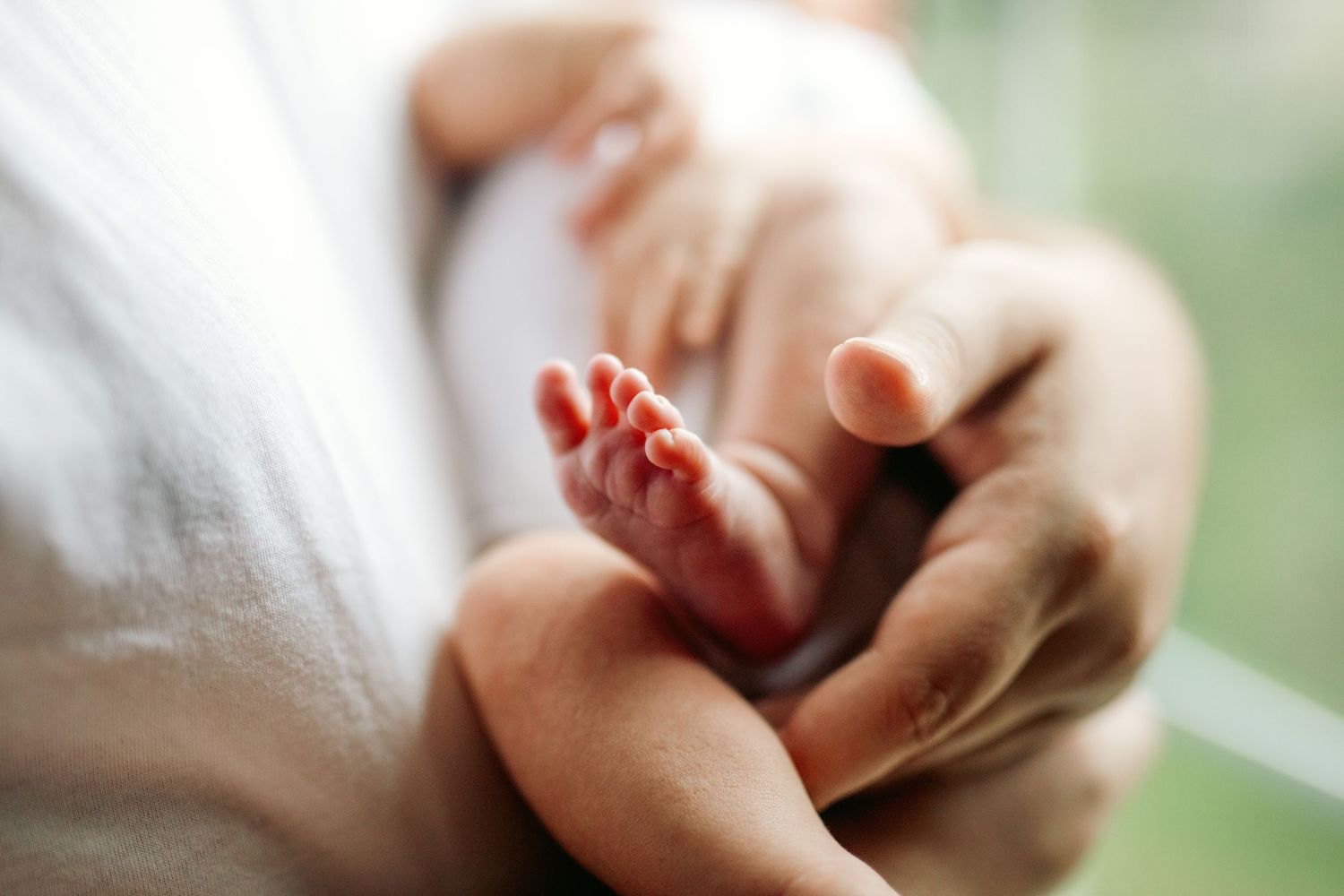 Close-up details of gentle hands and delicate moments in muted tones.