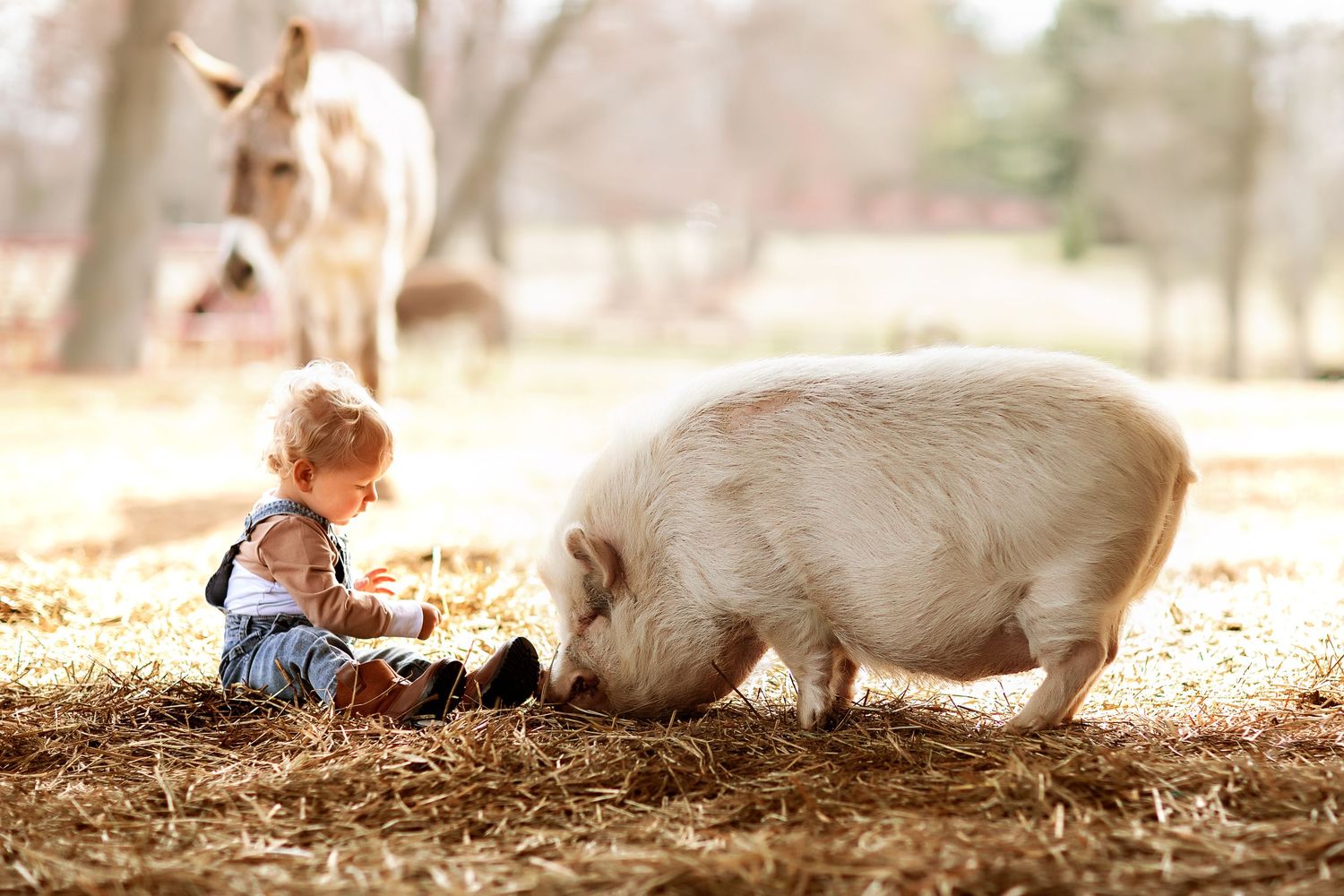 A child and white goat interact playfully in a rustic farm setting.