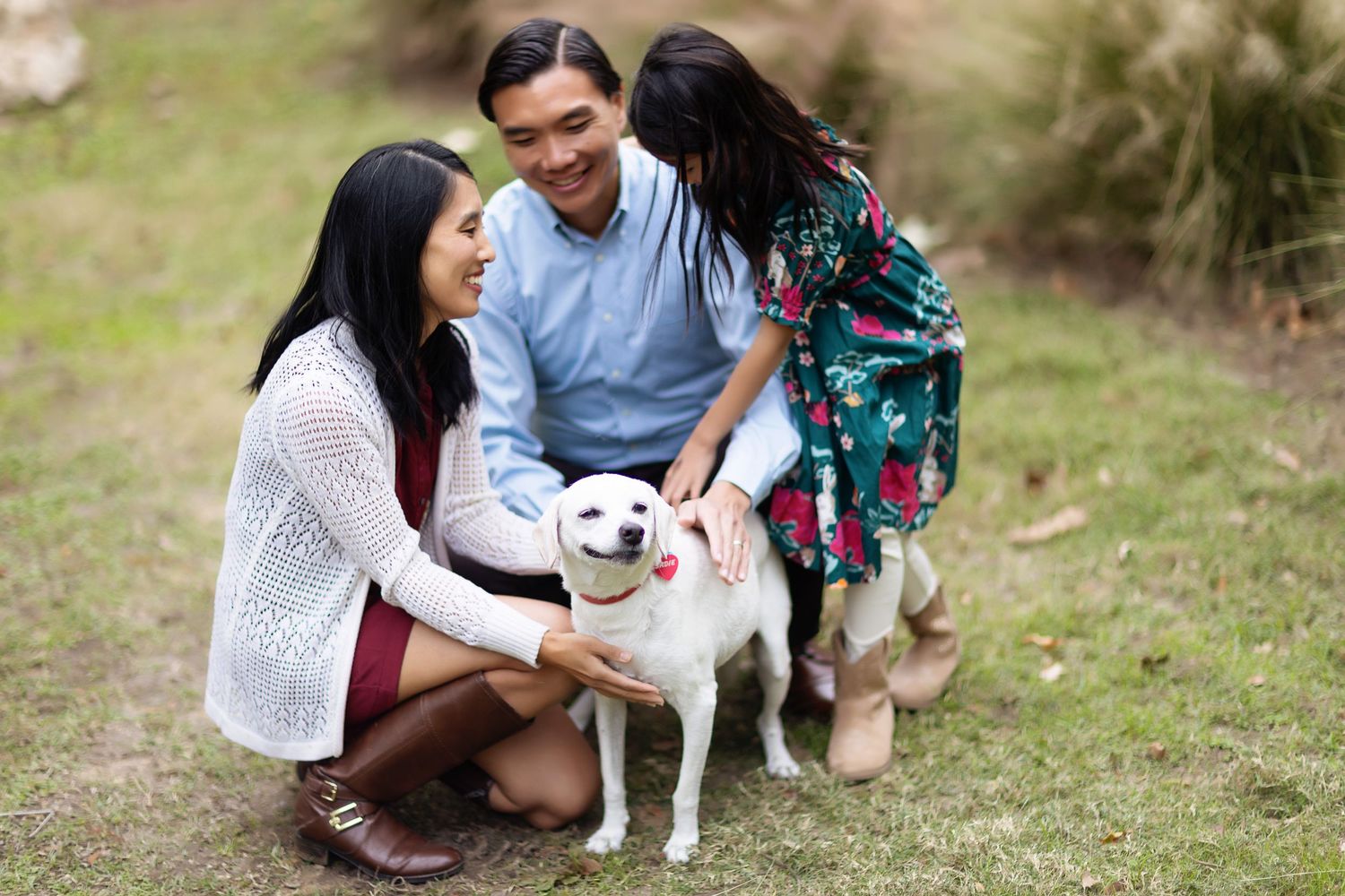 Black and white dog playing with owners on grassy field during outdoor photoshoot.